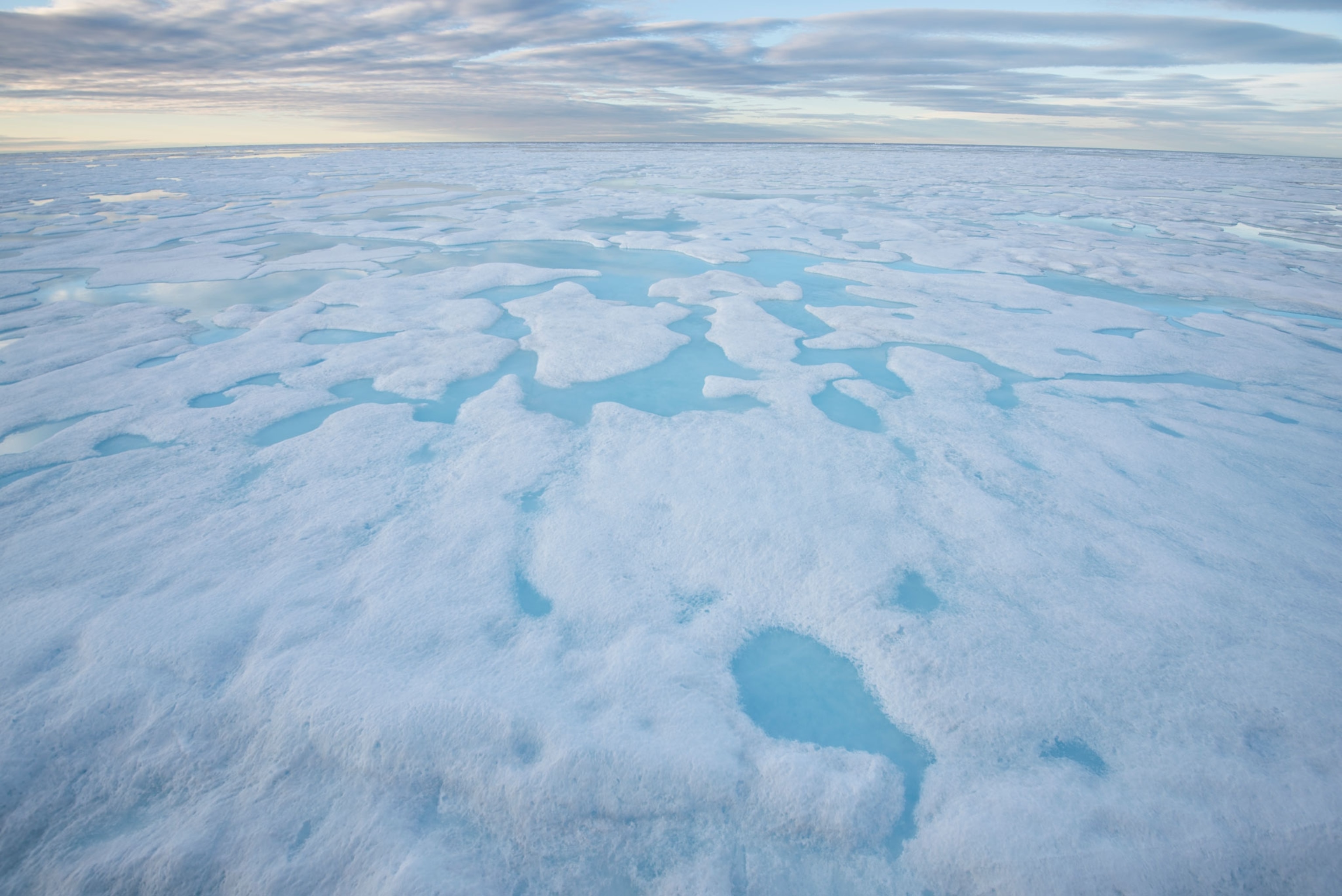 Sea ice or frozen ocean water that forms, grows, and melts in the ocean.