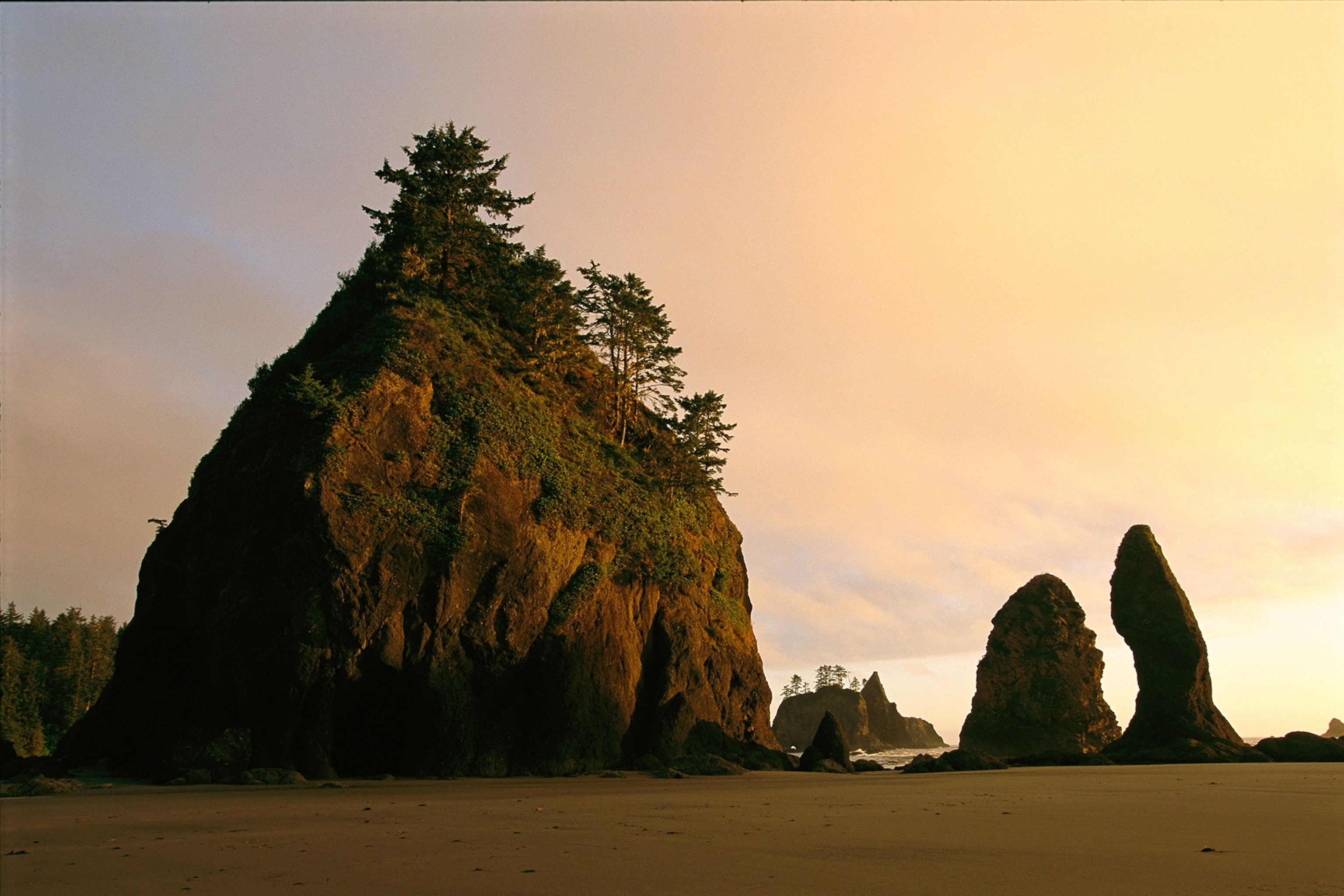 sea stacks on Shi Shi Beach, Olympic National Park, Washington