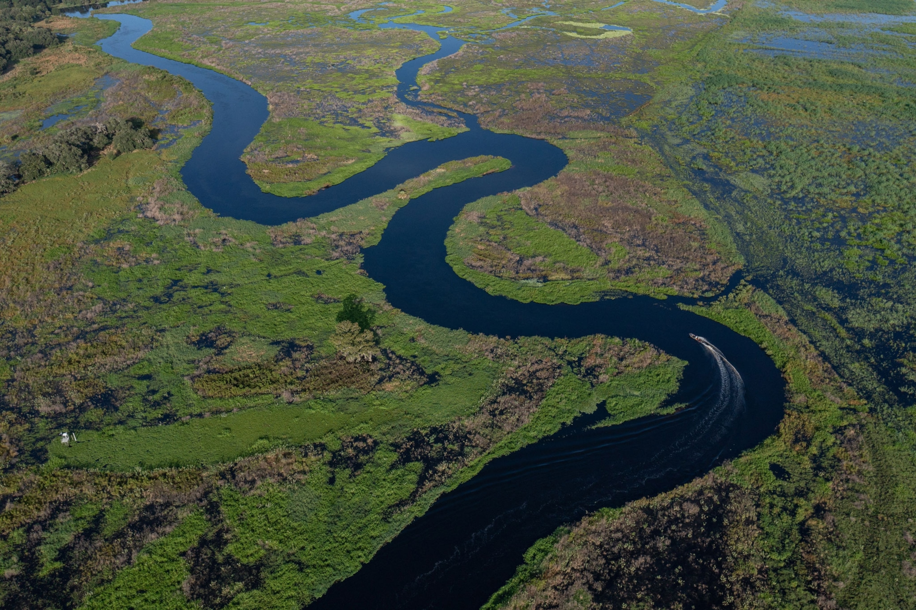 a motorized canoe moves through a windy section of river surrounded by lush green wetlands