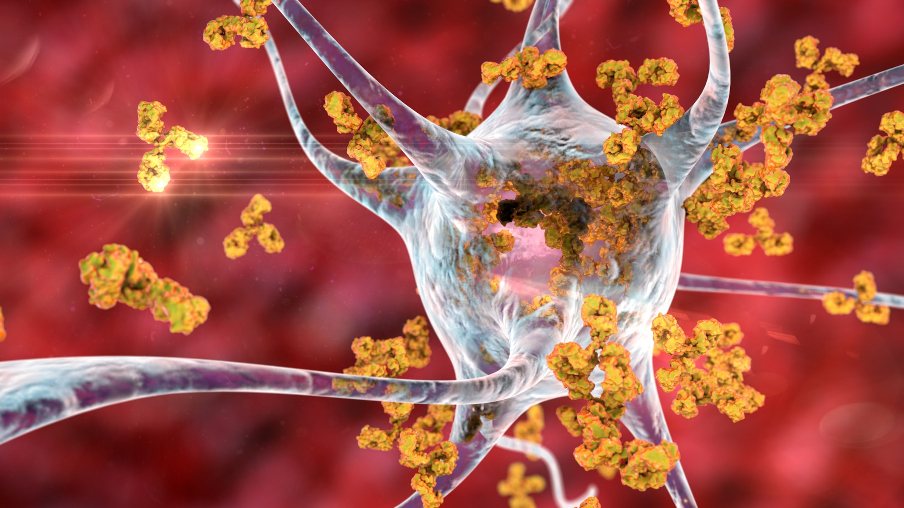A computer illustration of a neuron surrounded by dozens of small antibodies that are attacking the neuron as a result of an auto-immune process.