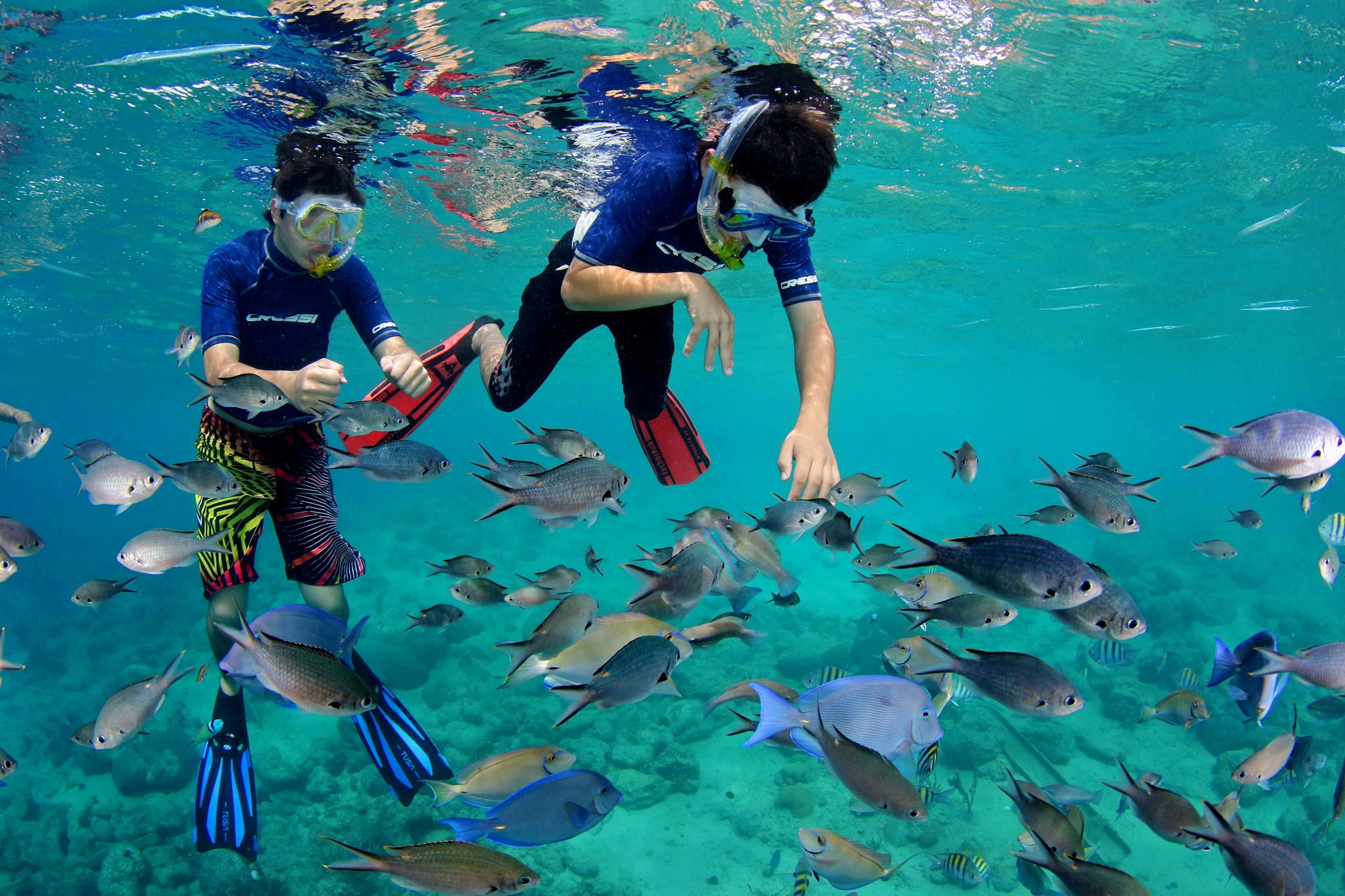 snorklers with fish at Cas Abao Beach, Curacao