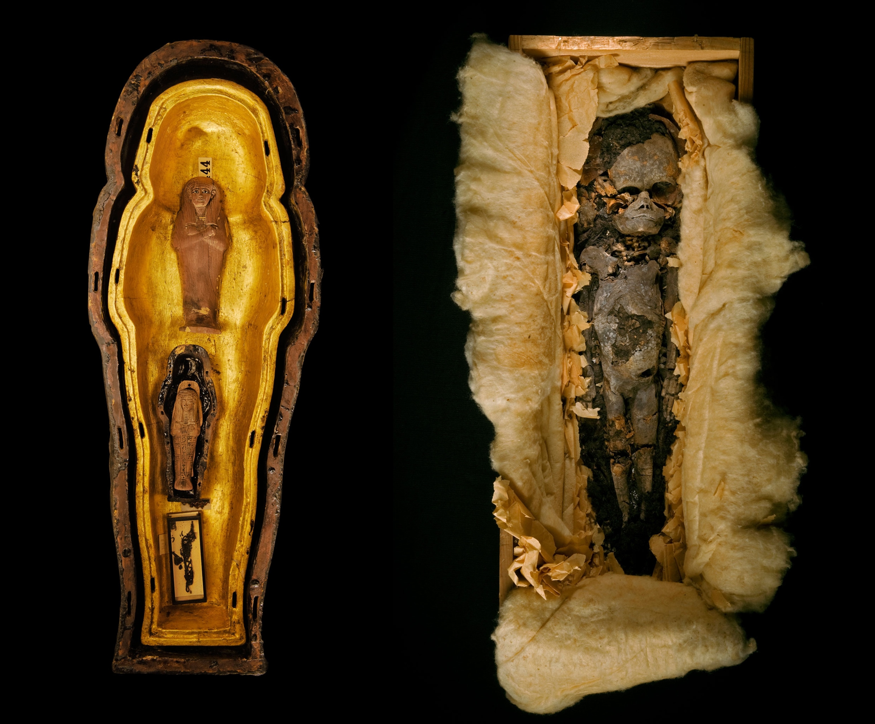 coffin of a miniature nested set from Tut’s tomb was inscribed with the name of Tiye