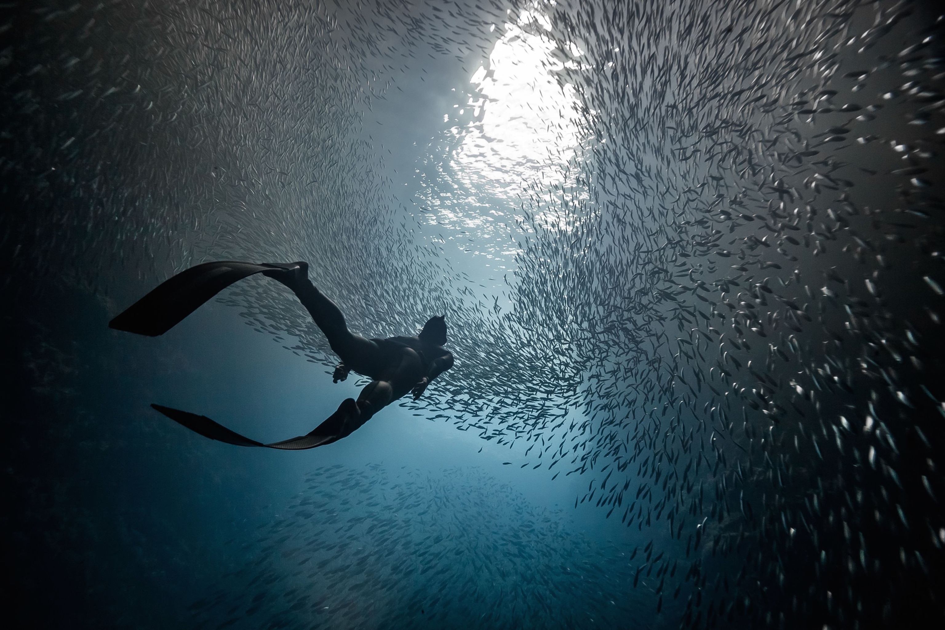 a freediver in a cave in Tonga