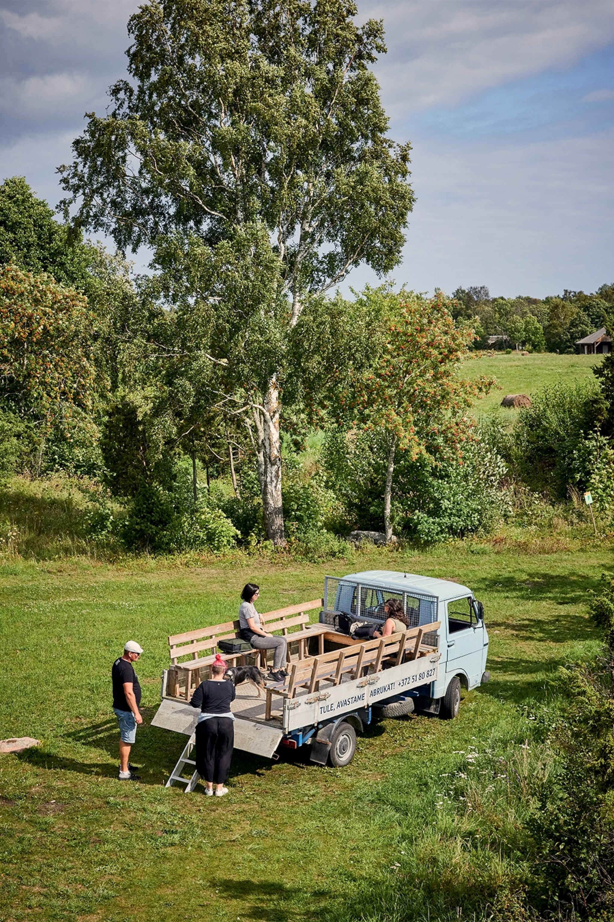 truck with trees
