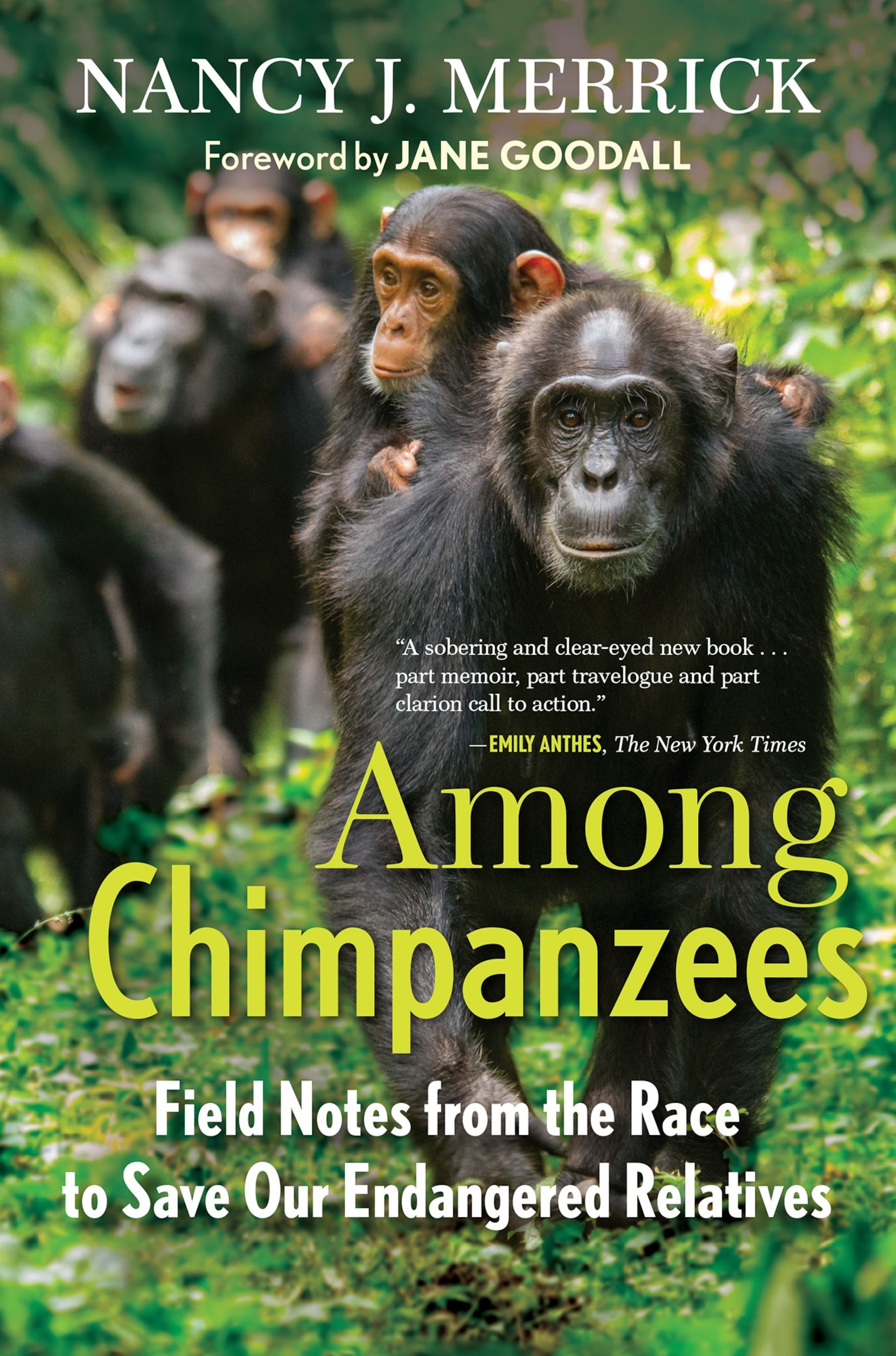 Among Chimpanzees book cover