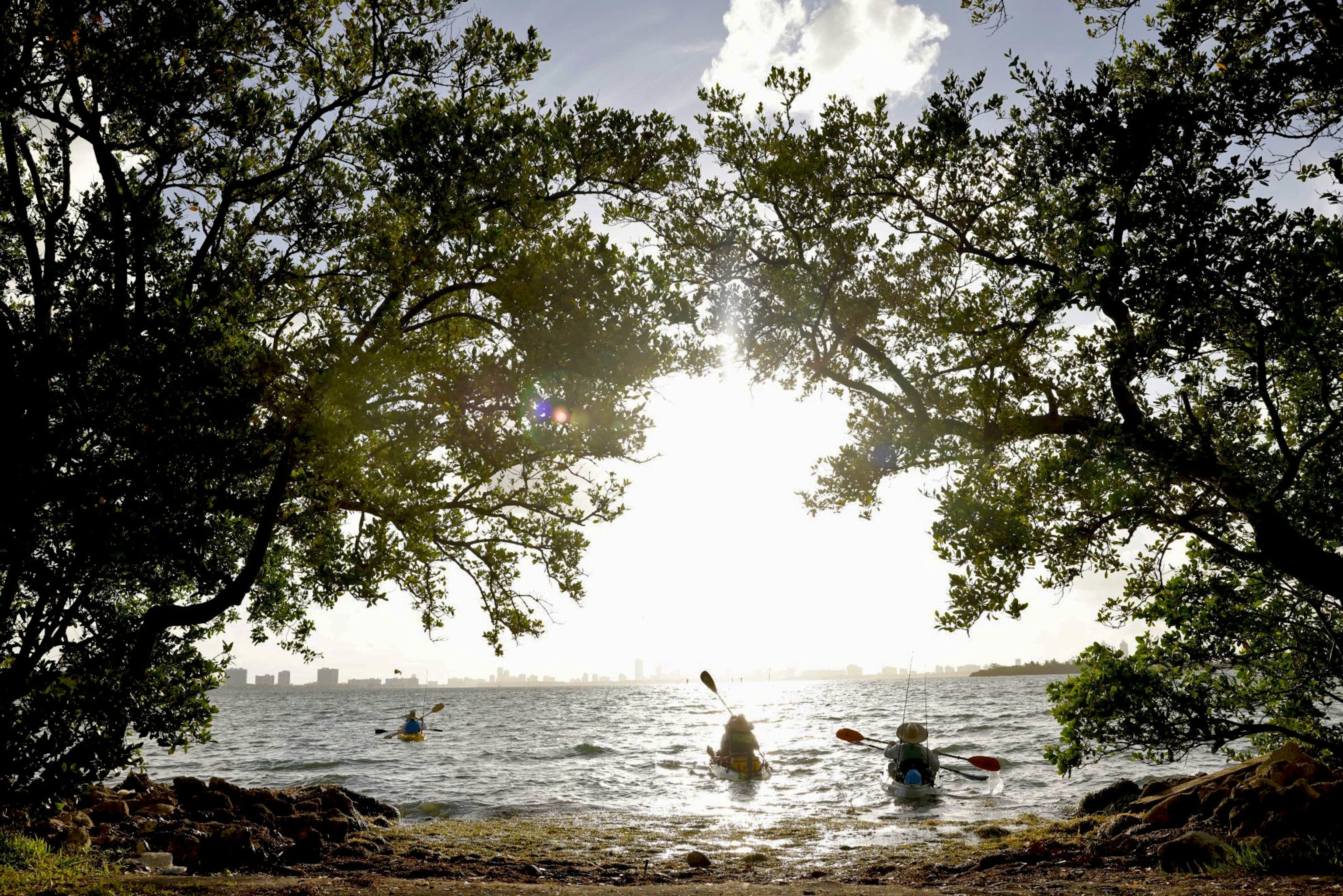 Kayakers launching into Biscayne Bay
