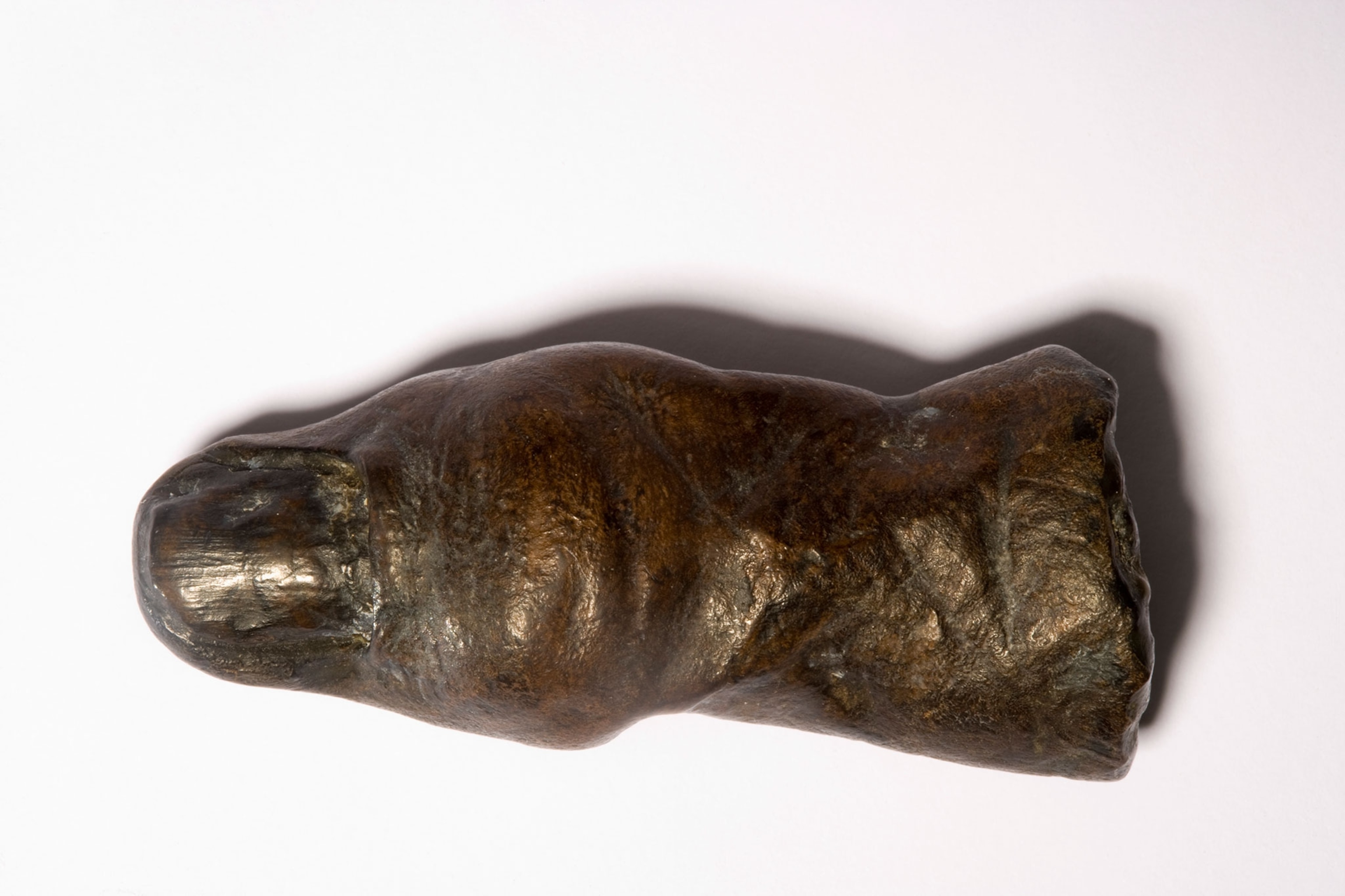 A wrinkly toe colored brownish and appears to be bronze that has been cut off at the foot.