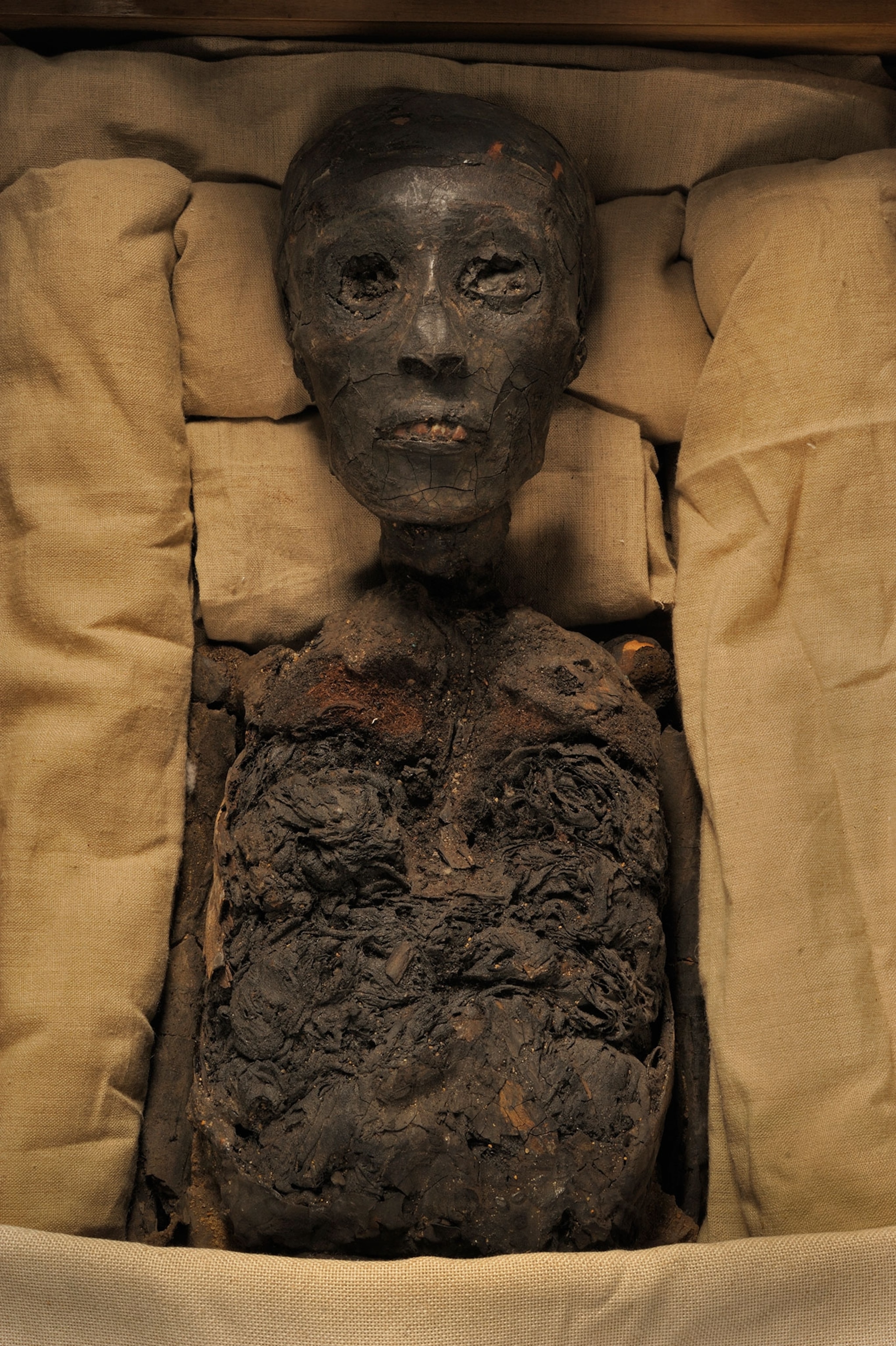 Tutankhamun remains