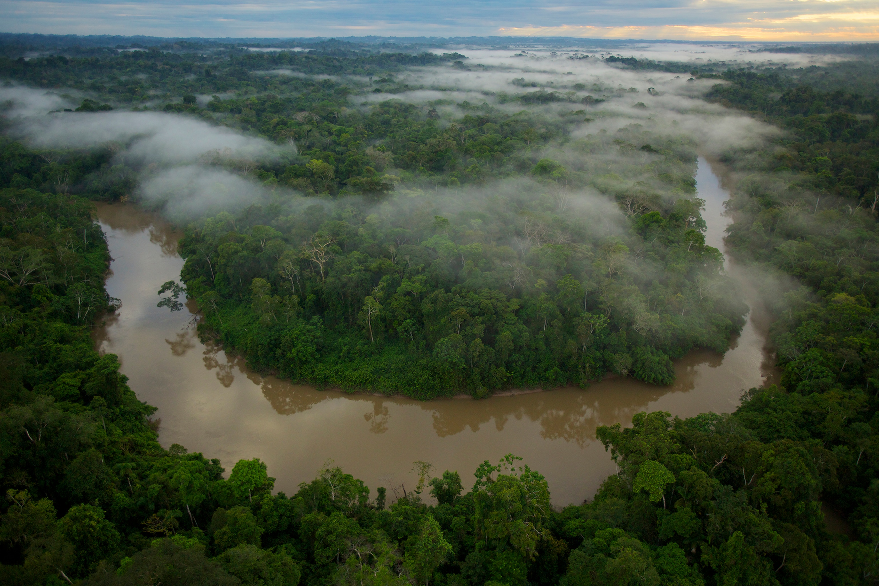 Aerial view of he Tiputini River in Yasuni National Park, Ecuador.