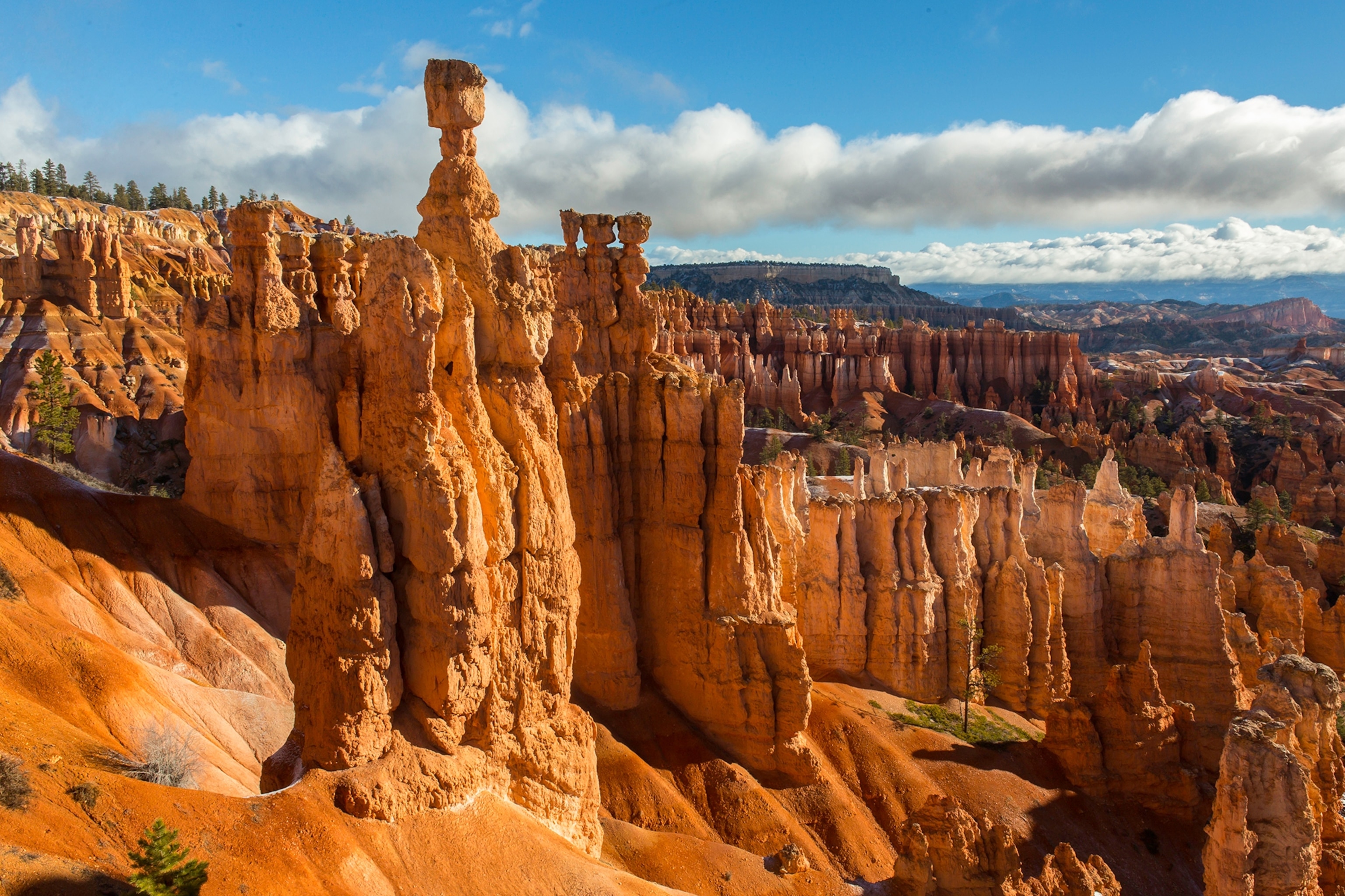 Thor's Hammer in Bryce Canyon National Park, Utah