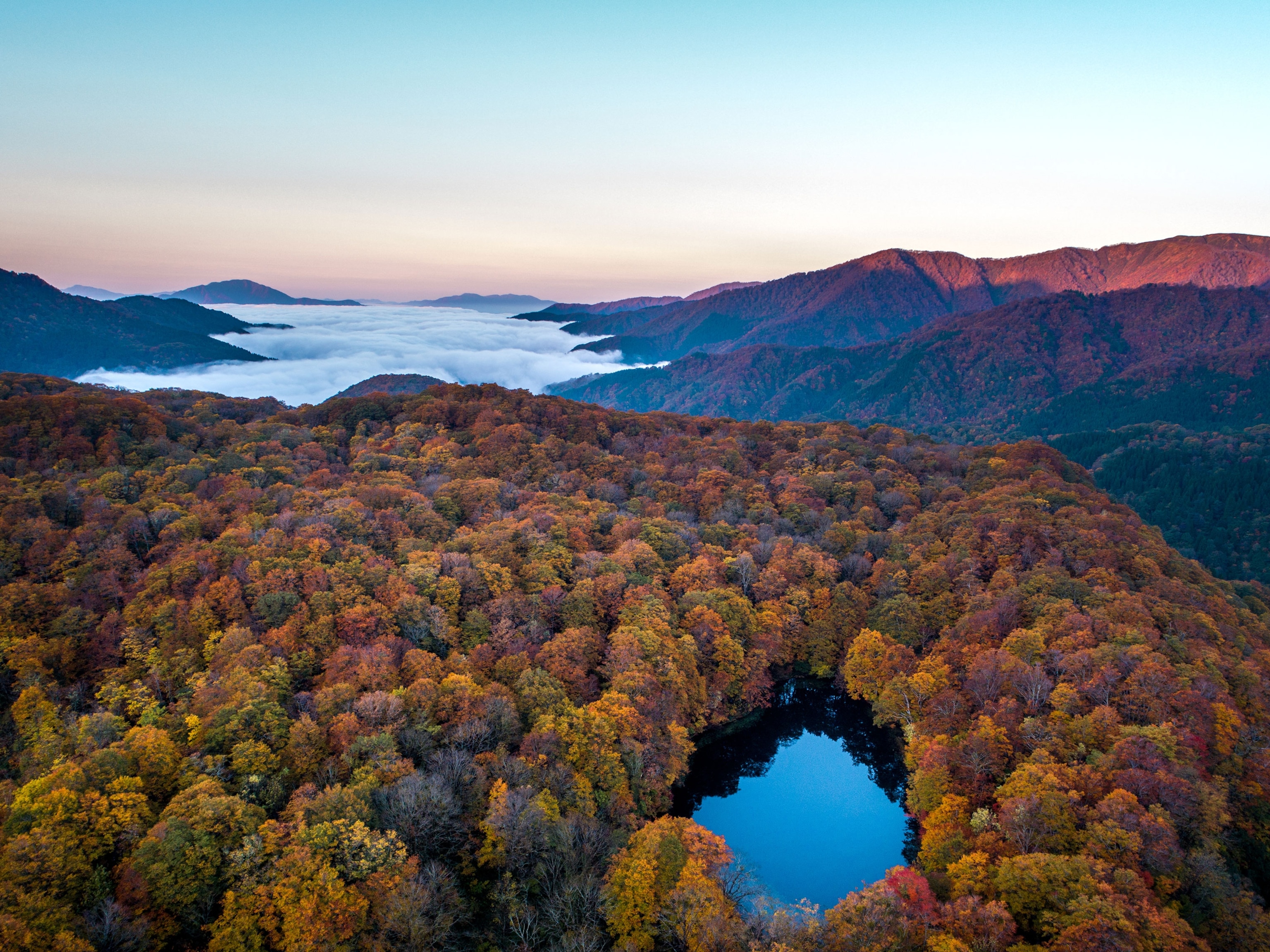 an aerial view of a forest surrounded by mountains