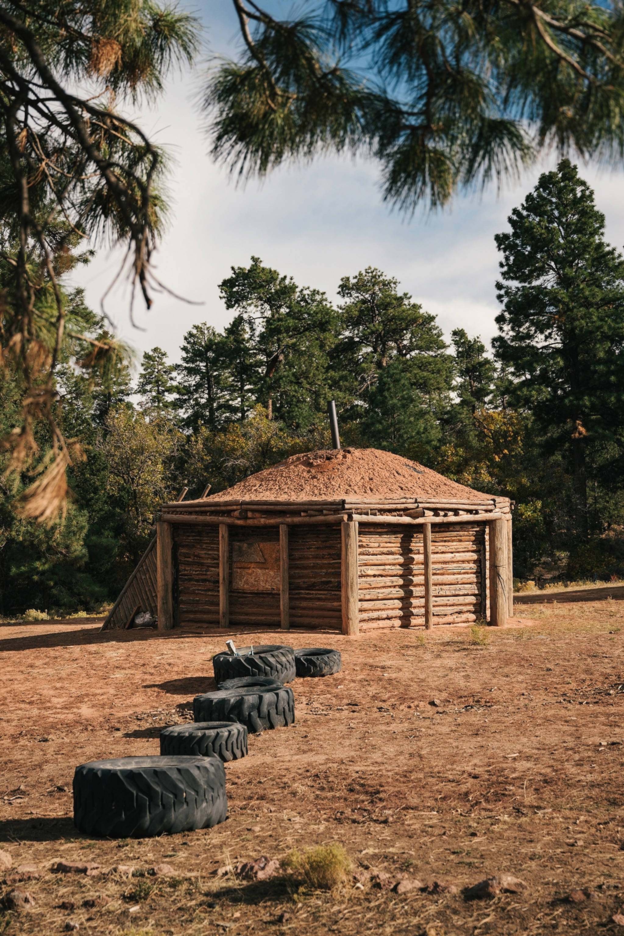 A low-roofed hut built from wood logs in a pine forest.