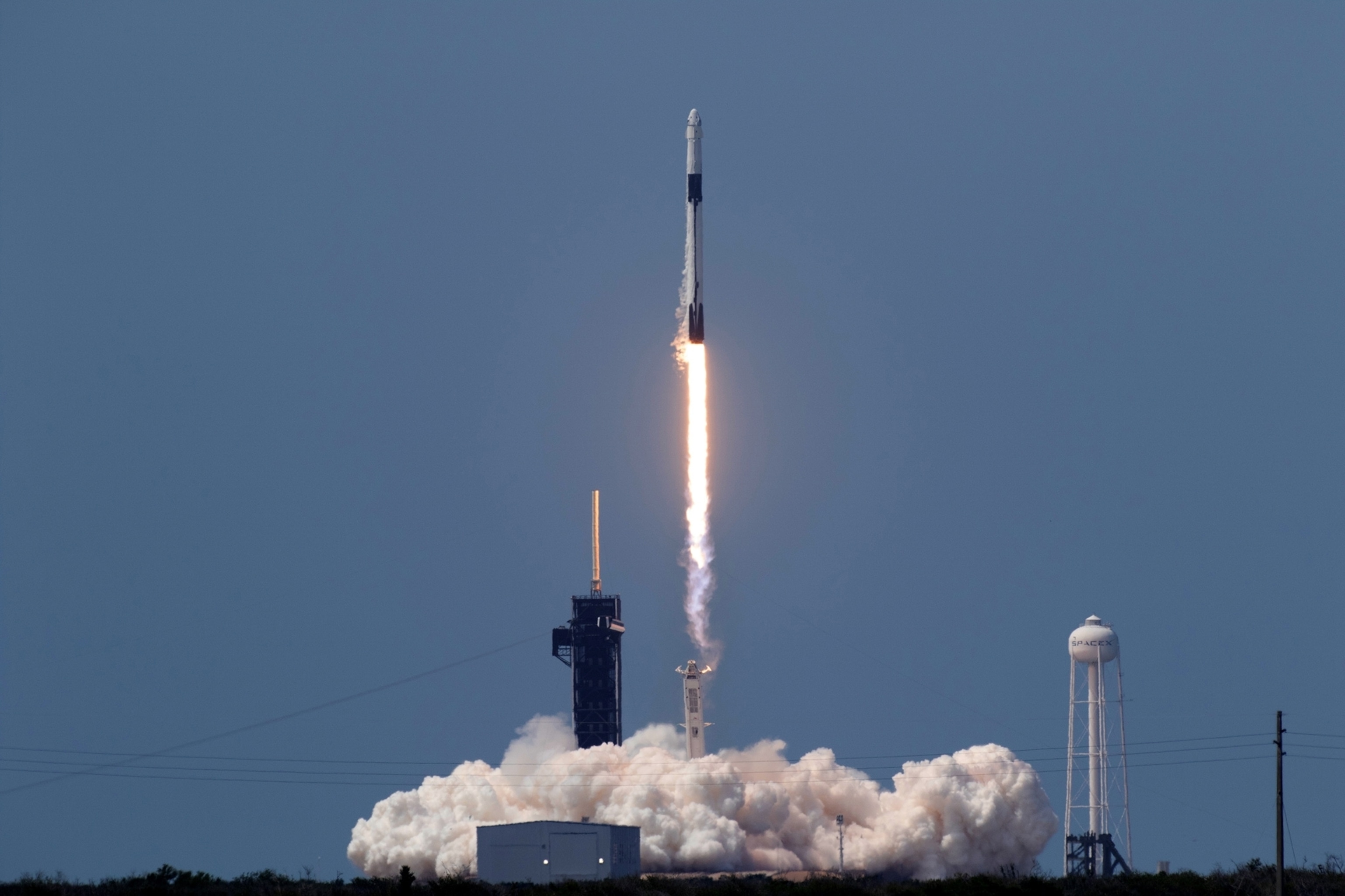Space X
