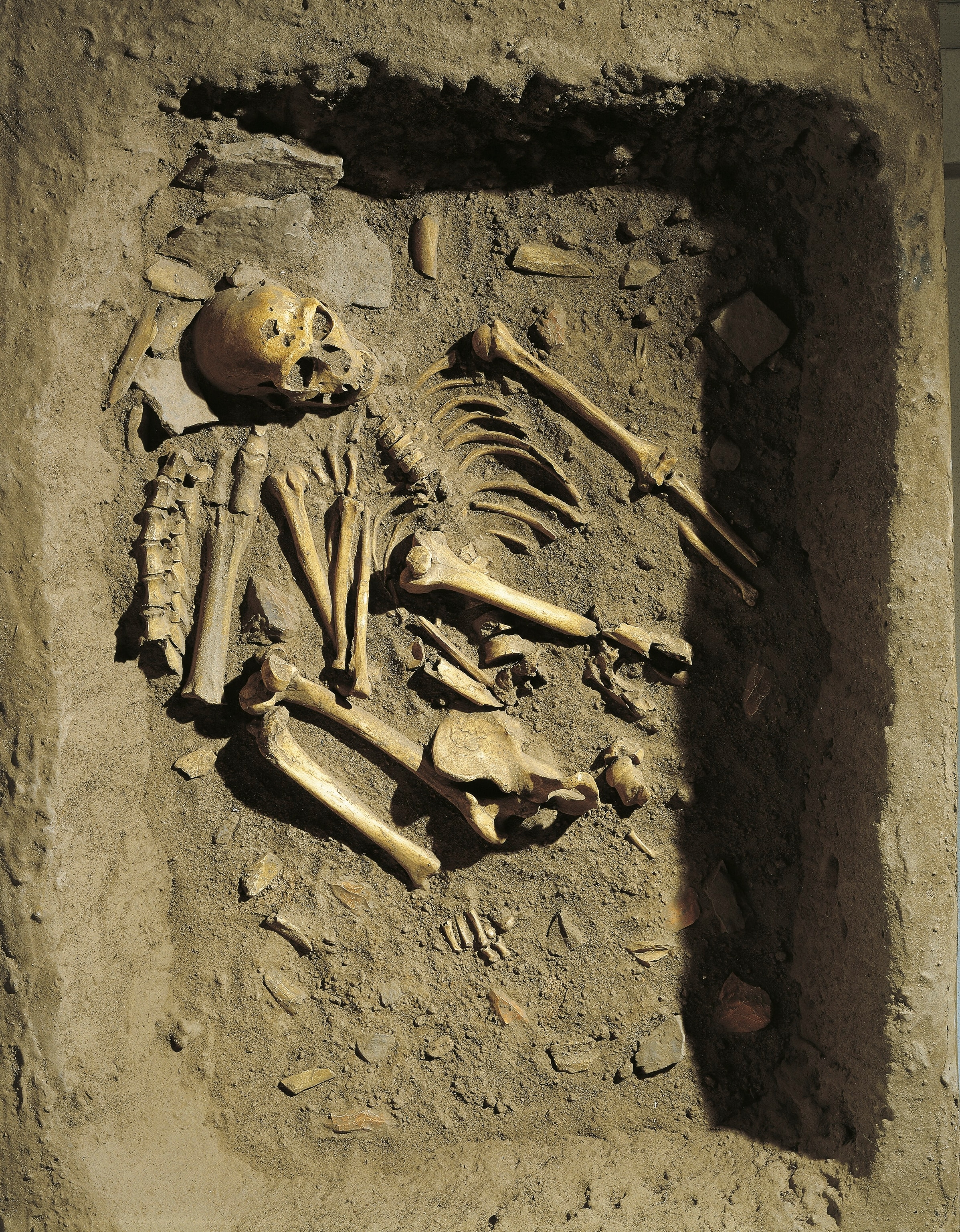 Reconstruction of a burial of Neanderthal Man at La Chapelle-aux-Saints, France.