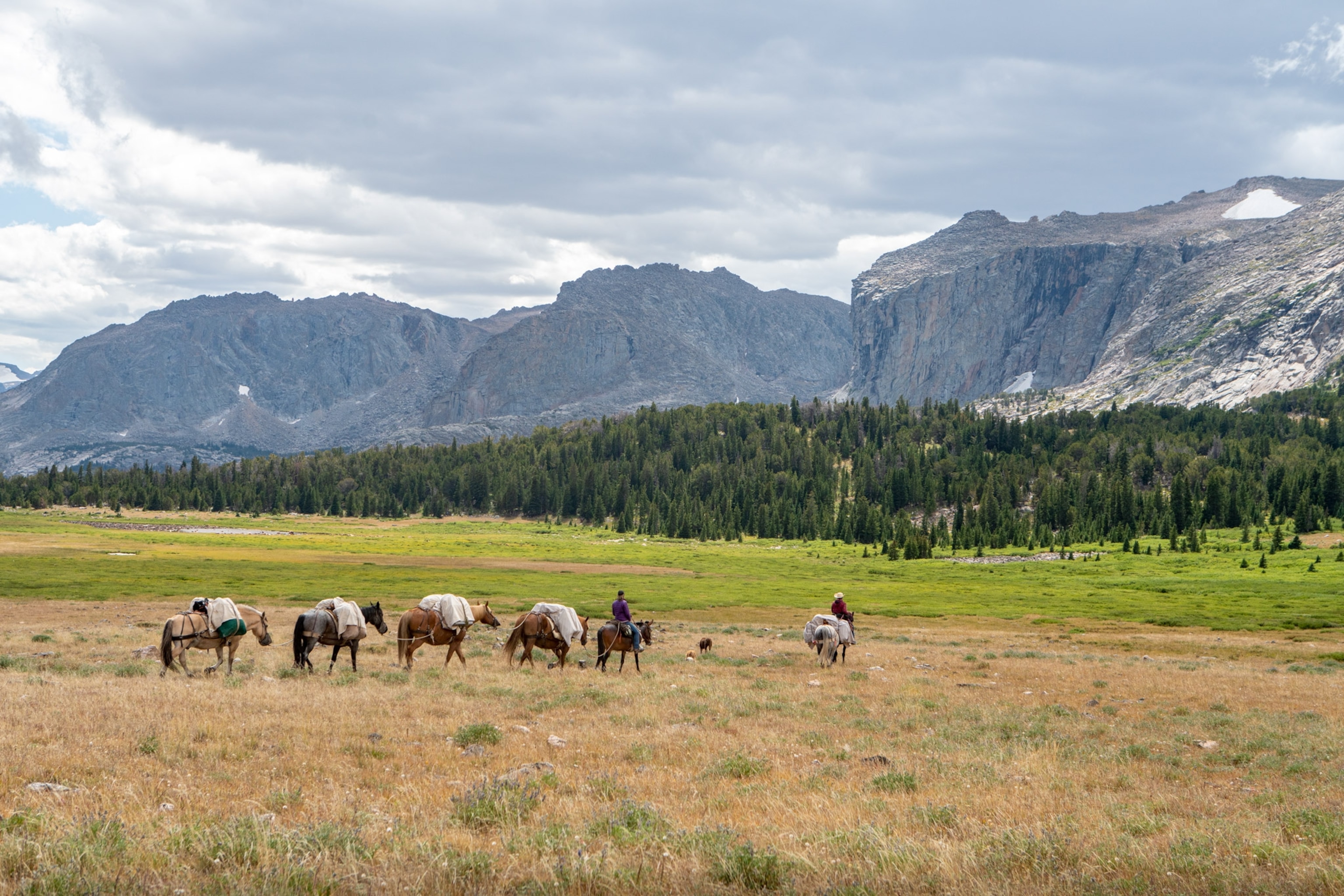 a horse pack trip into the colorado rockies
