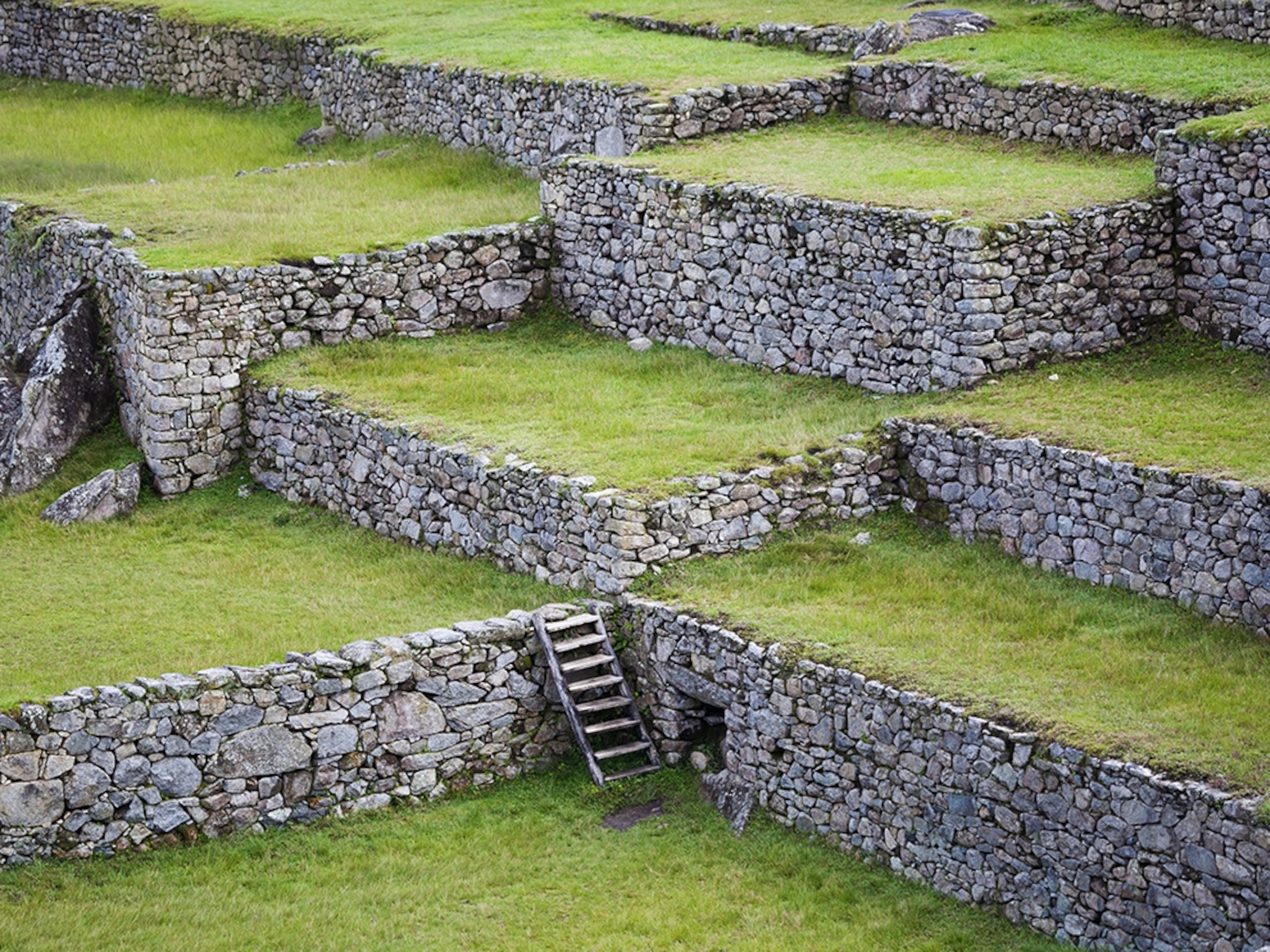 terraces at Machu Picchu, Peru