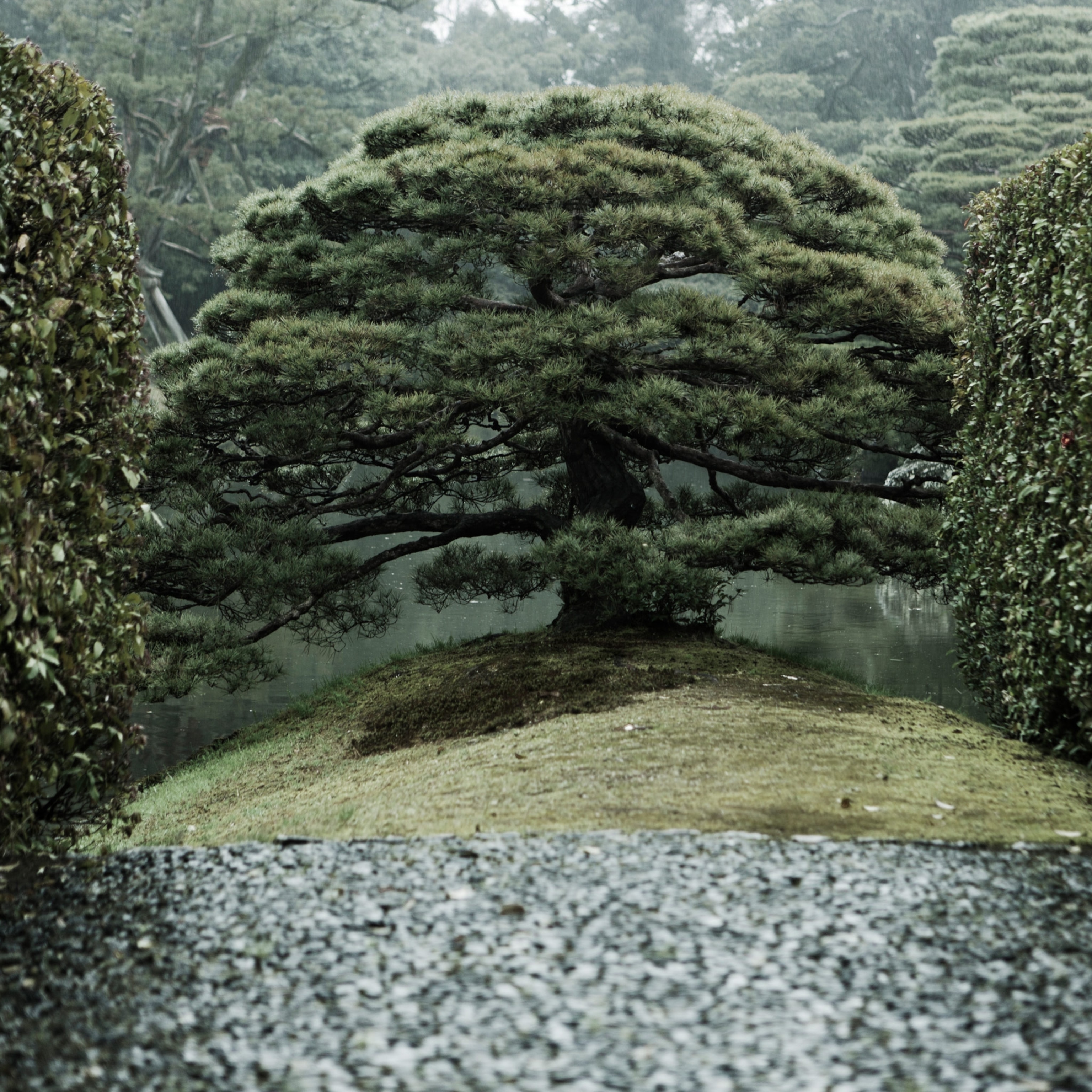 zen gardens in various places in japan