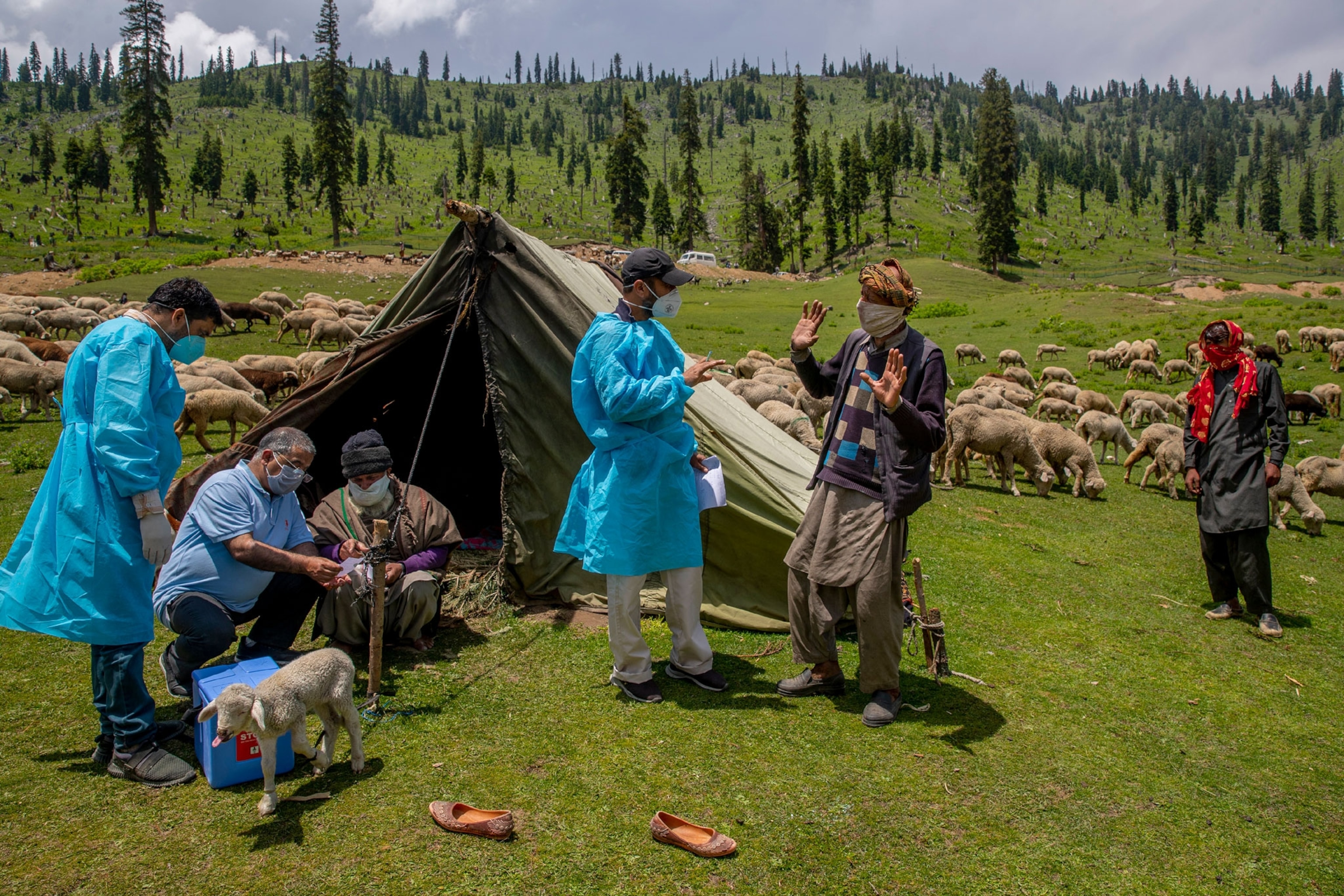 Healthcare workers talk to nomads
