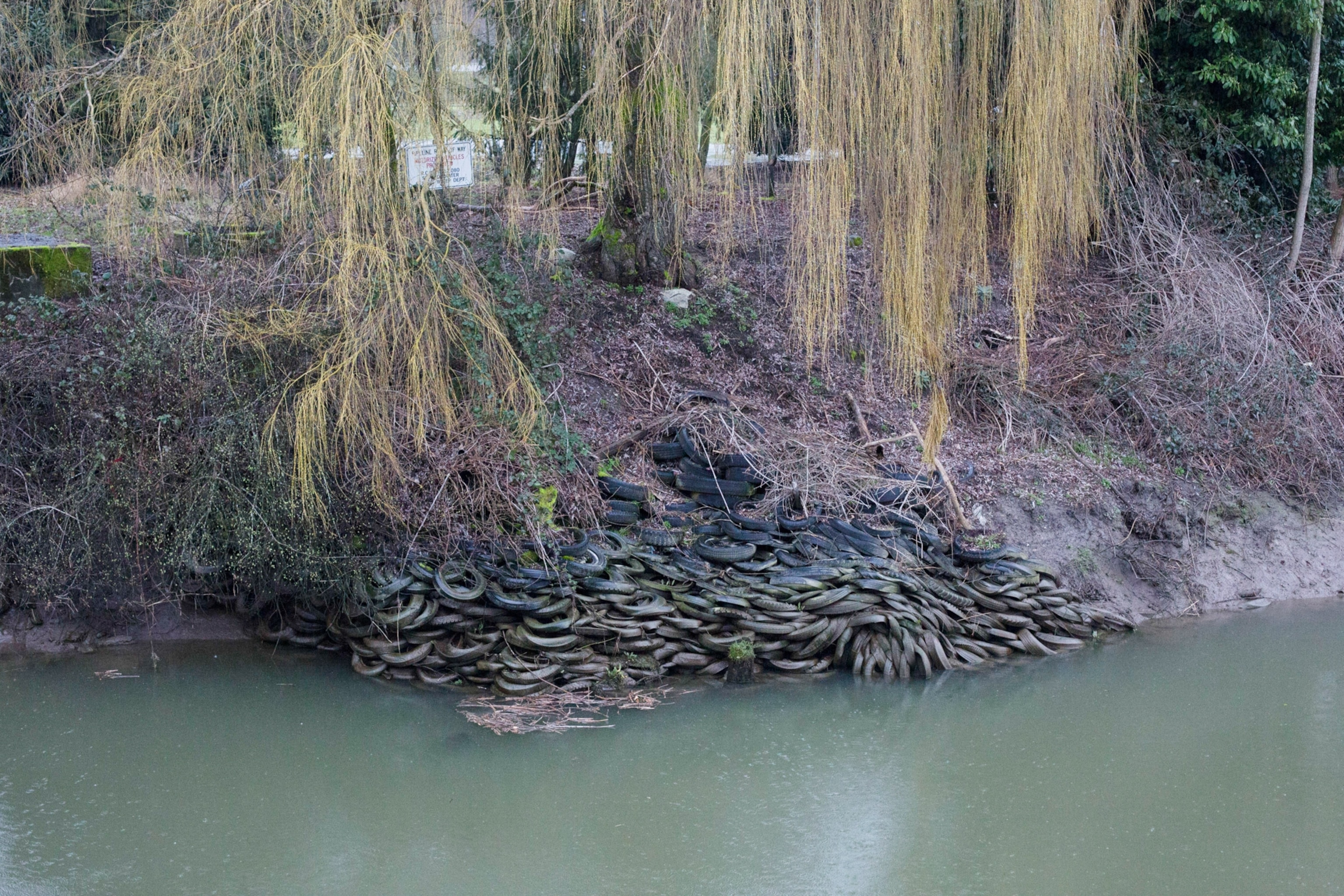 The bank of a river, where a huge pile of discarded tires has collected