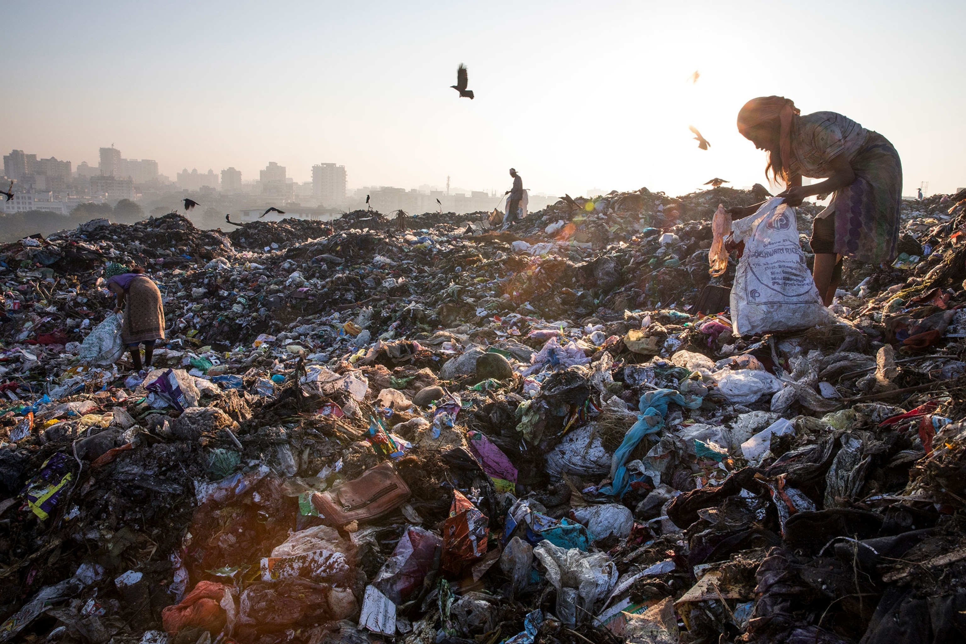 trash pickers