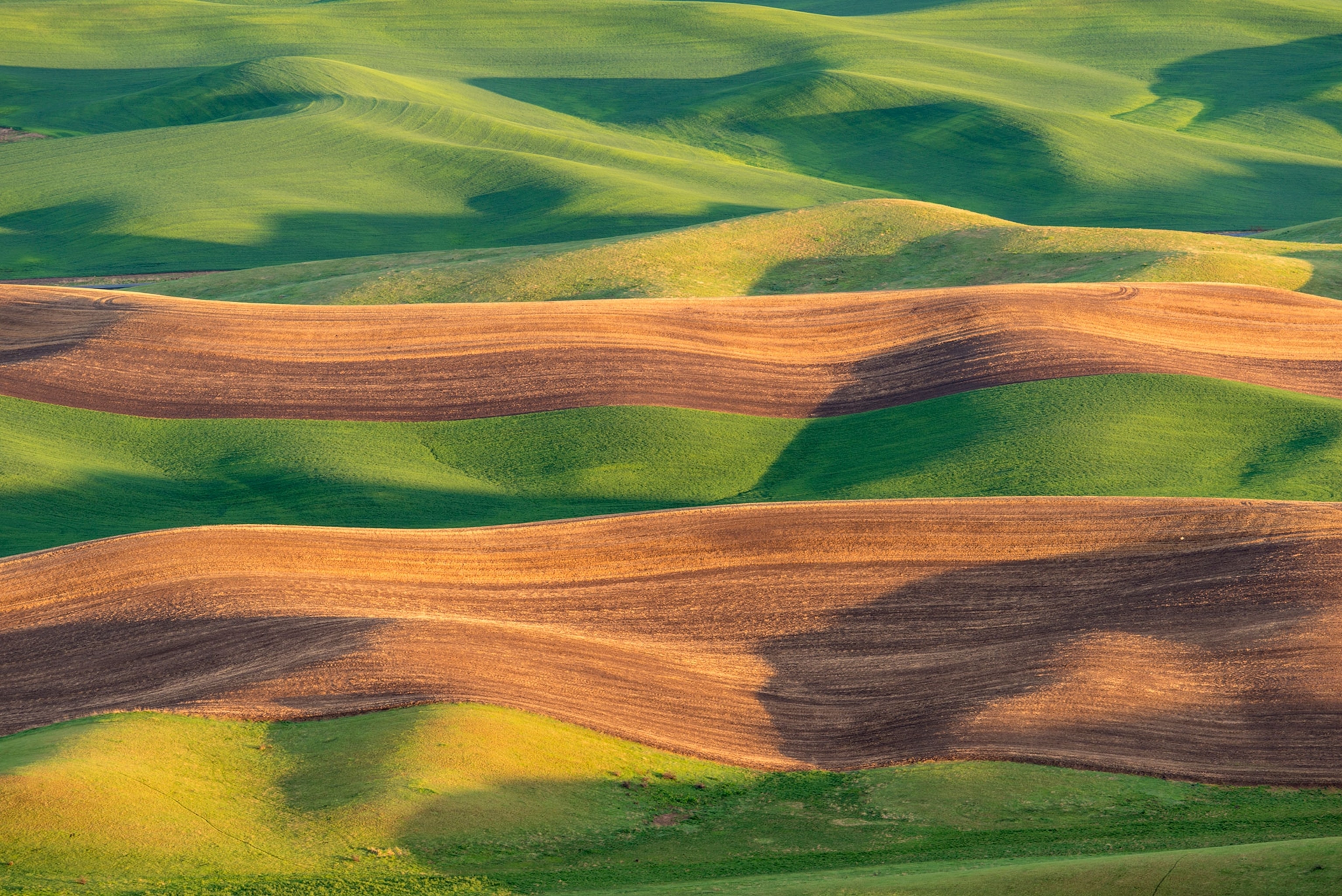 fields