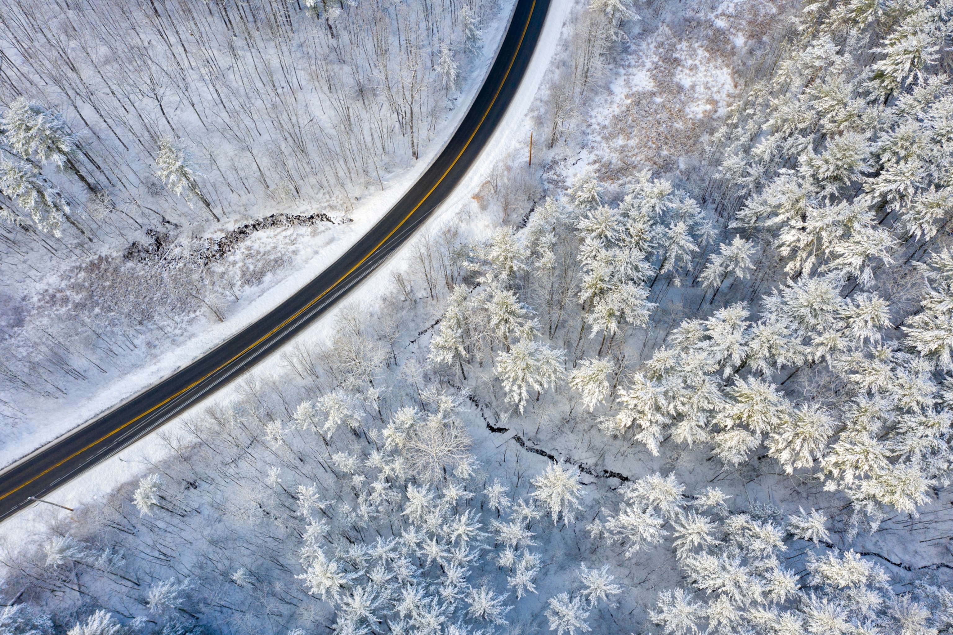 a winter morning at Means Woods in Middlebury, Vermont