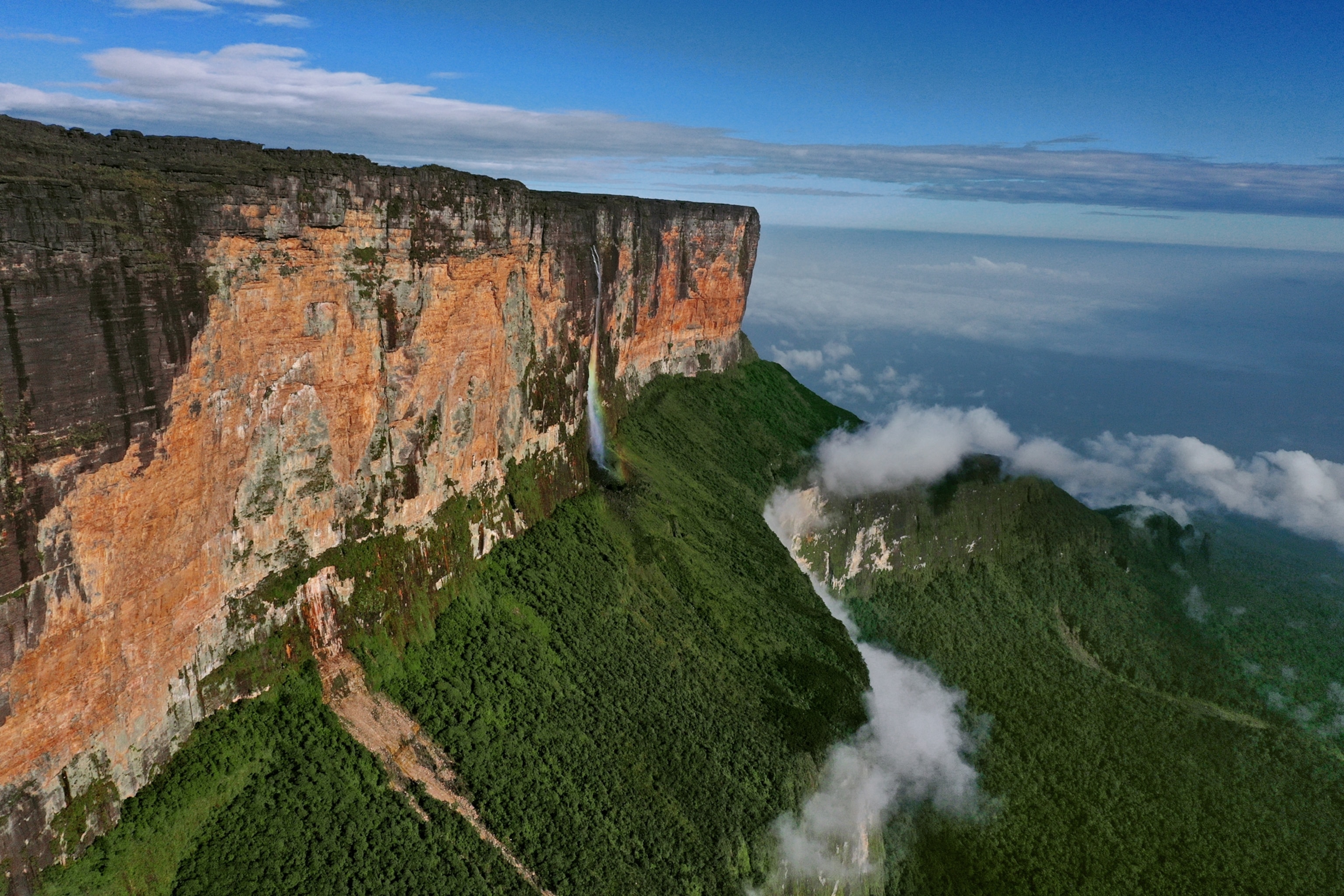 Picture of mountain with flat top and clouds over forest below.