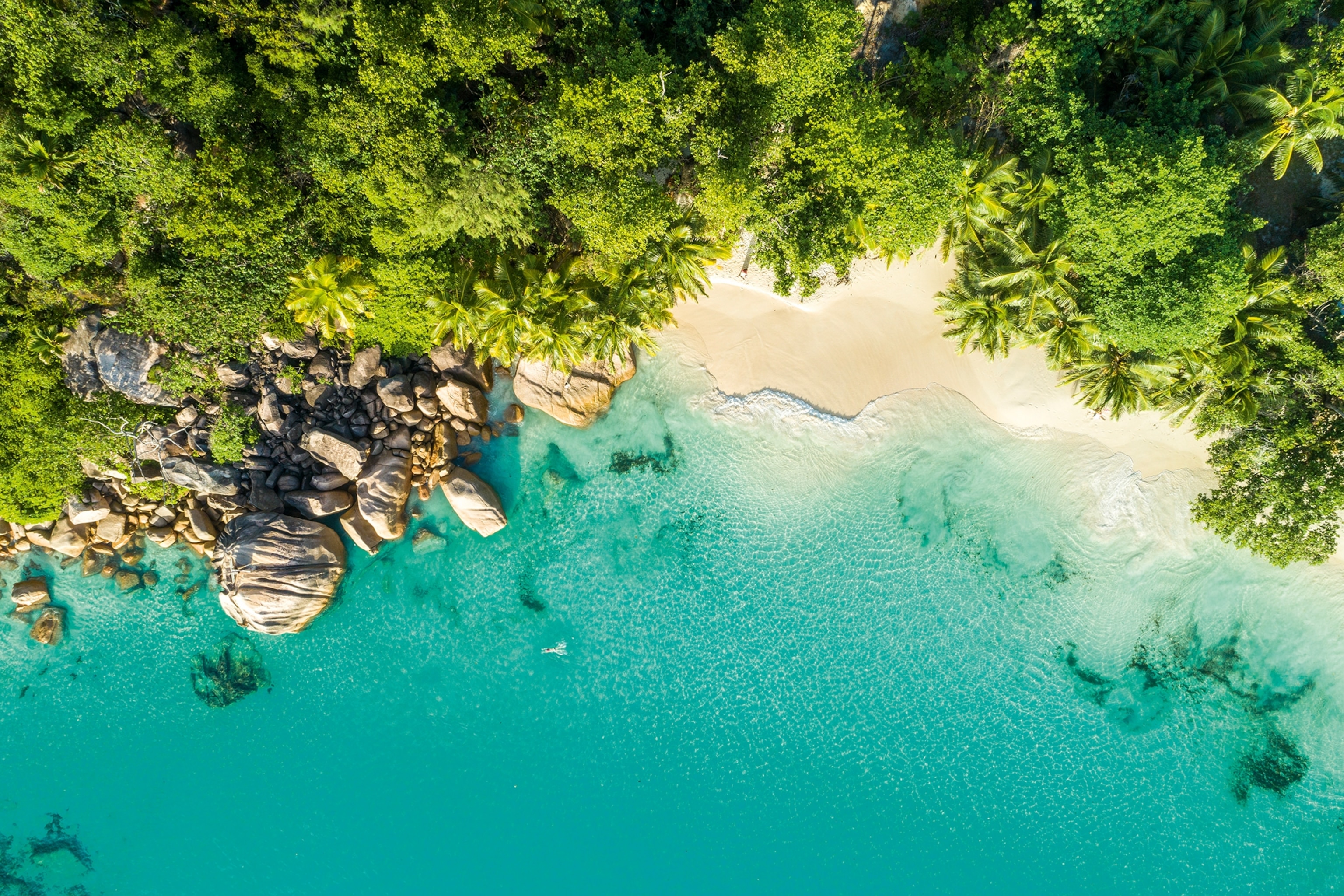 An aerial shot of a beach