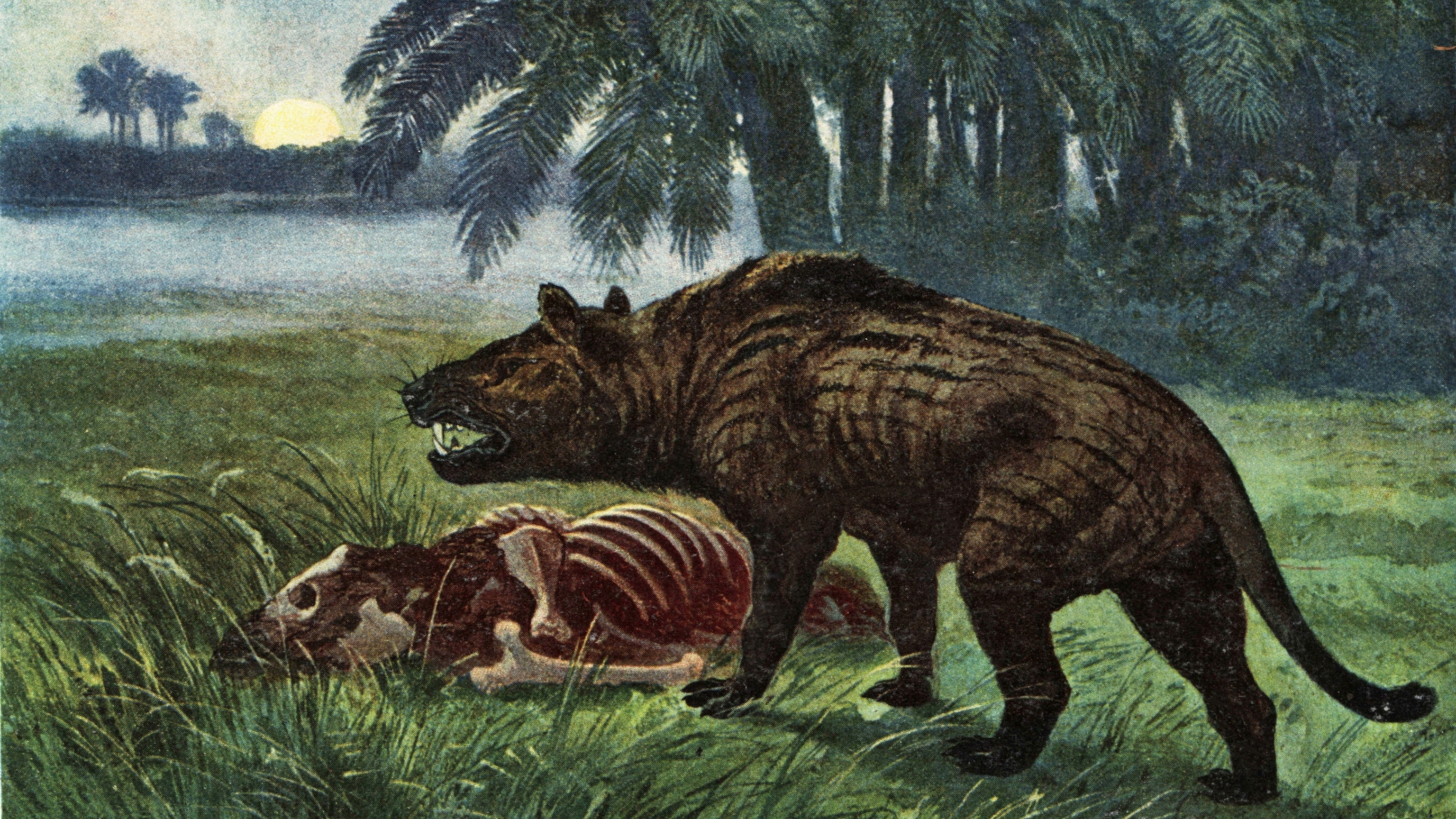 An illustration of a hyena-like prehistoric mammal standing over a carcass.