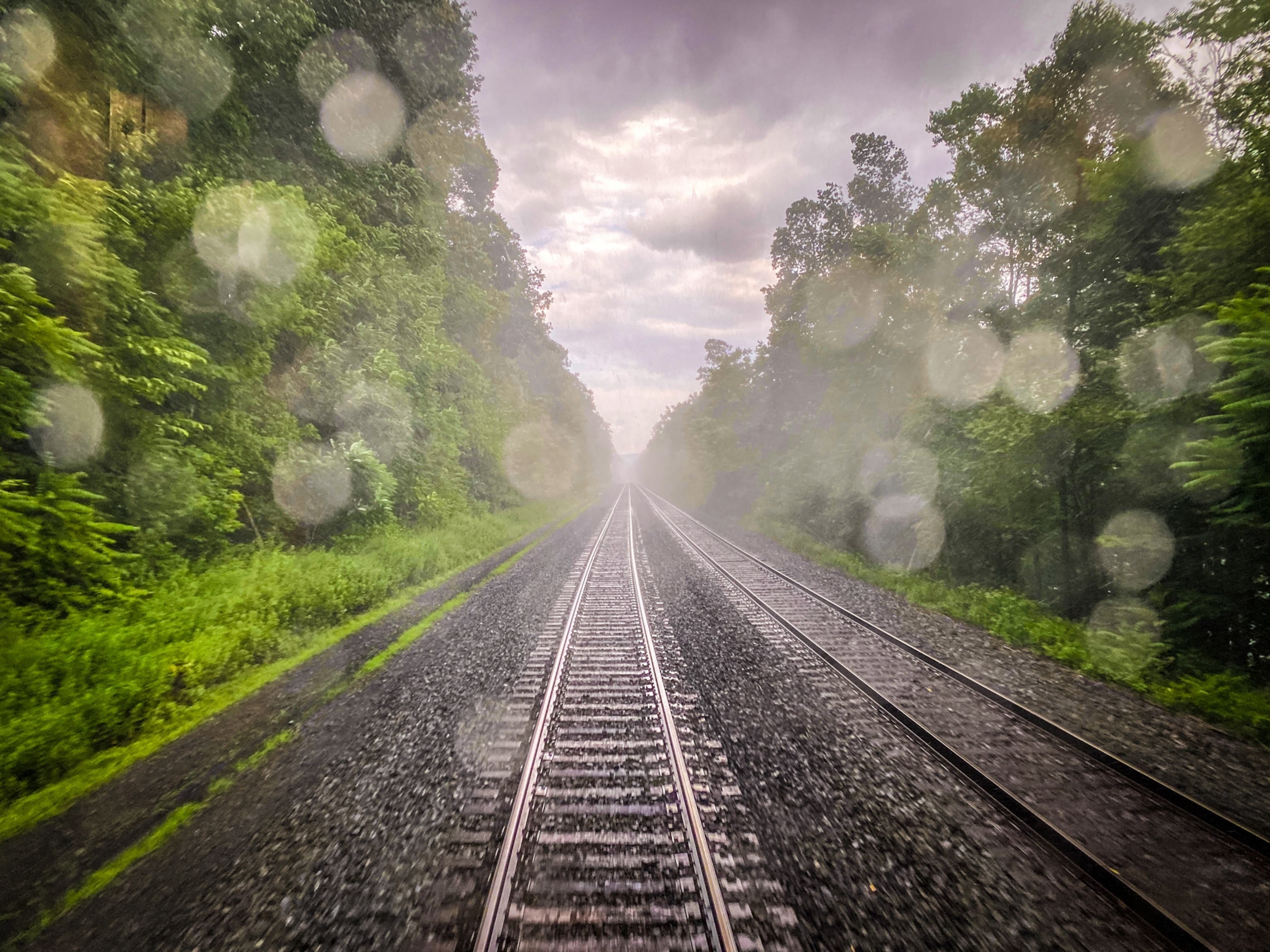 A view of train tracks along the Great Allegheny Passage.