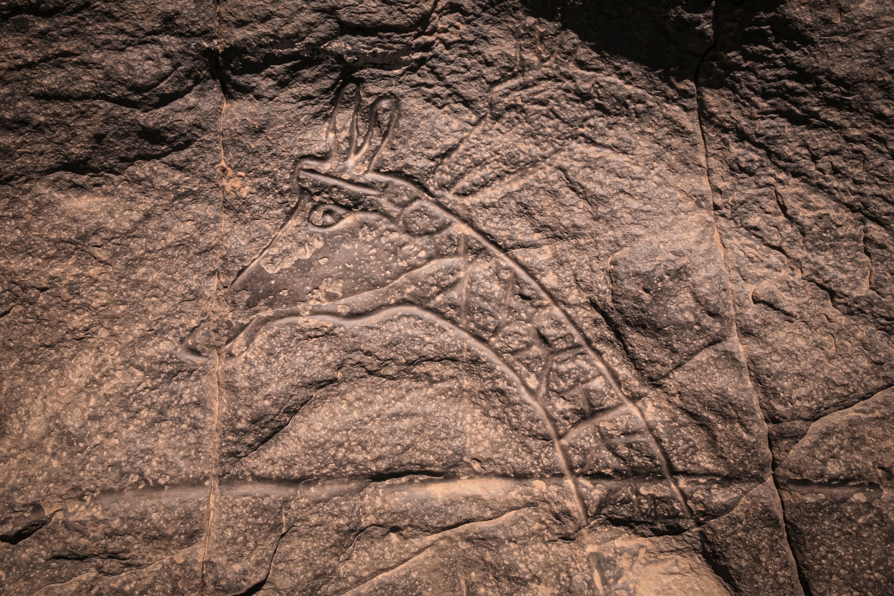 Algeria rock art