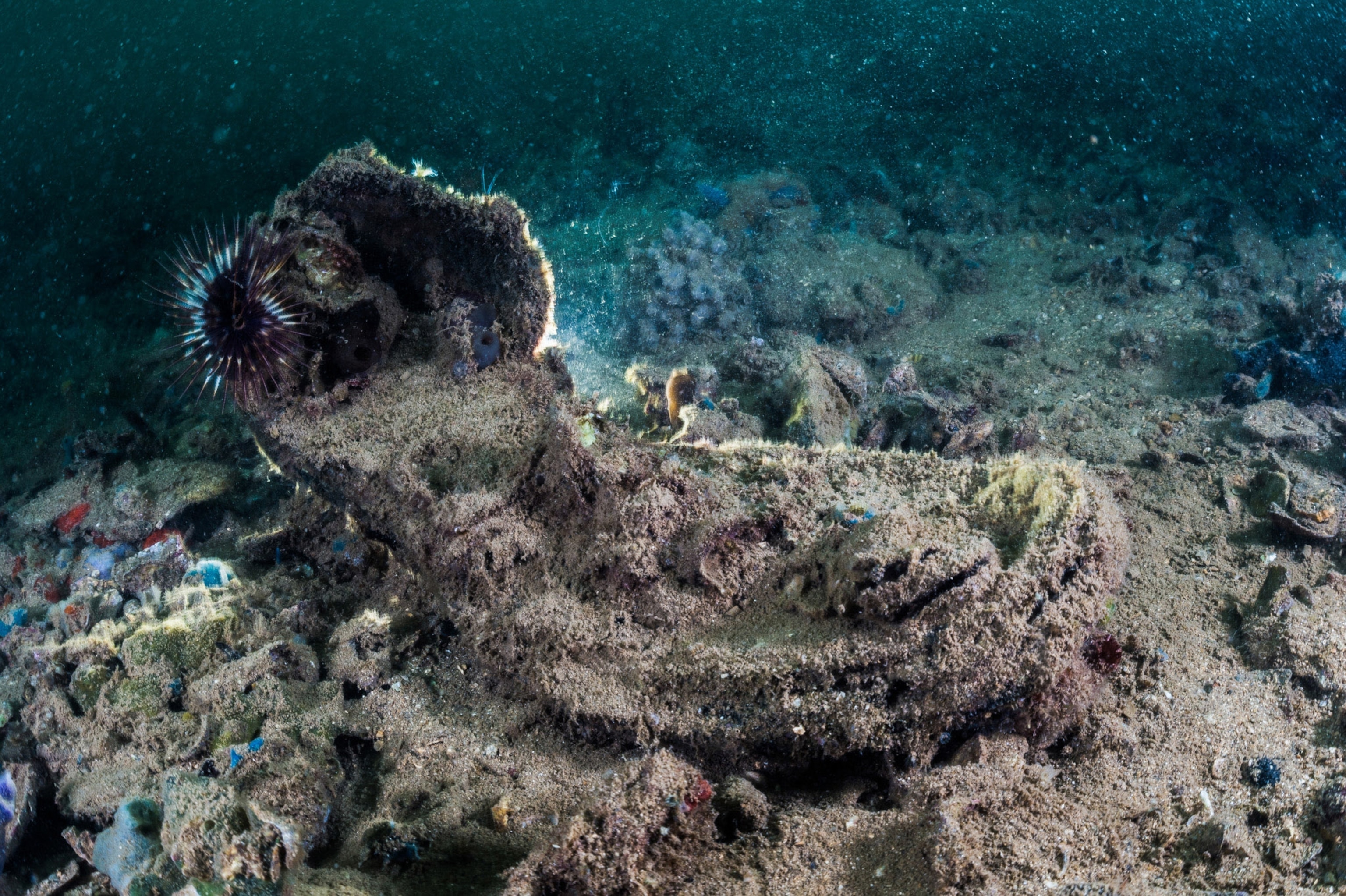 shoe from USS Arizona