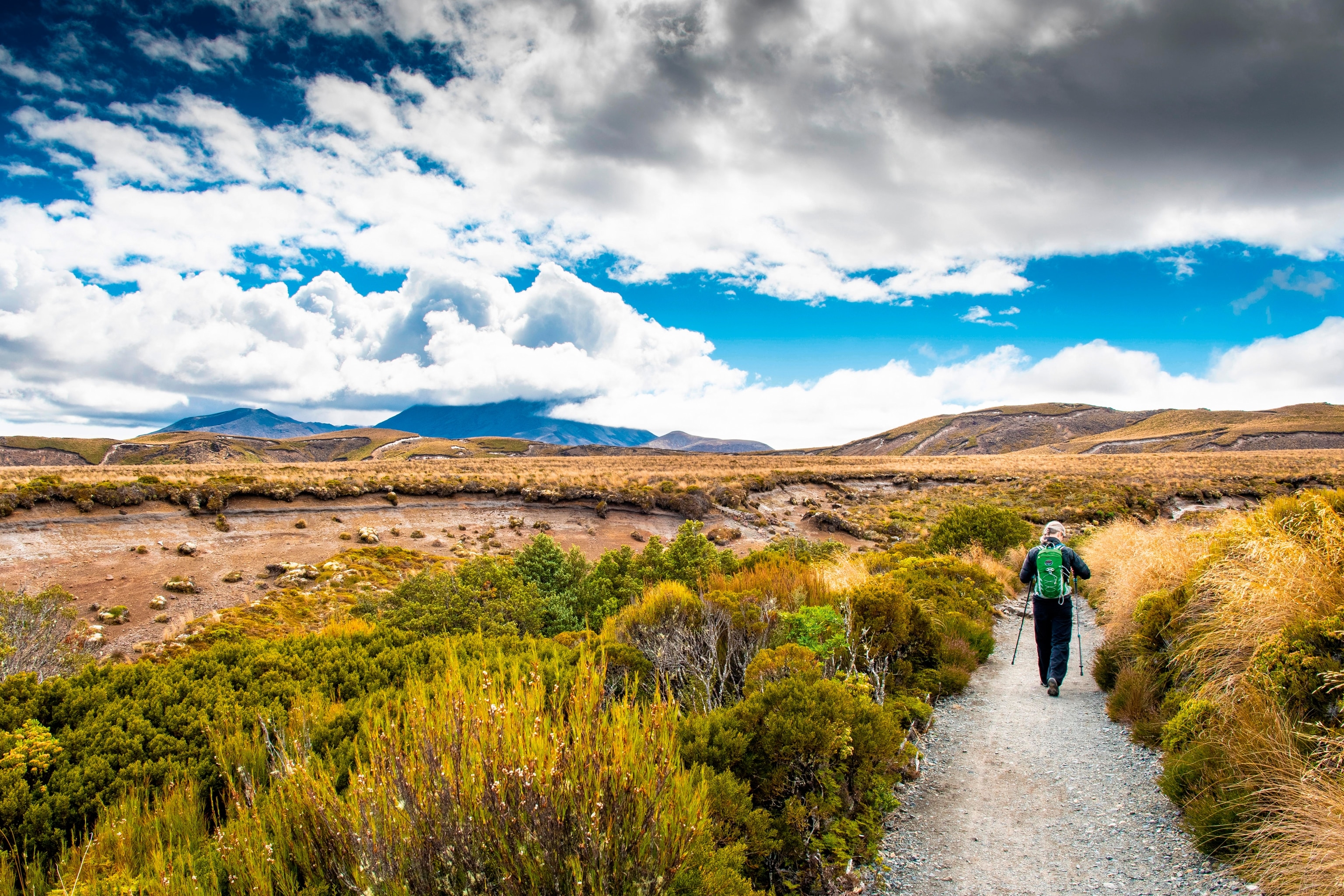New Zealand national park