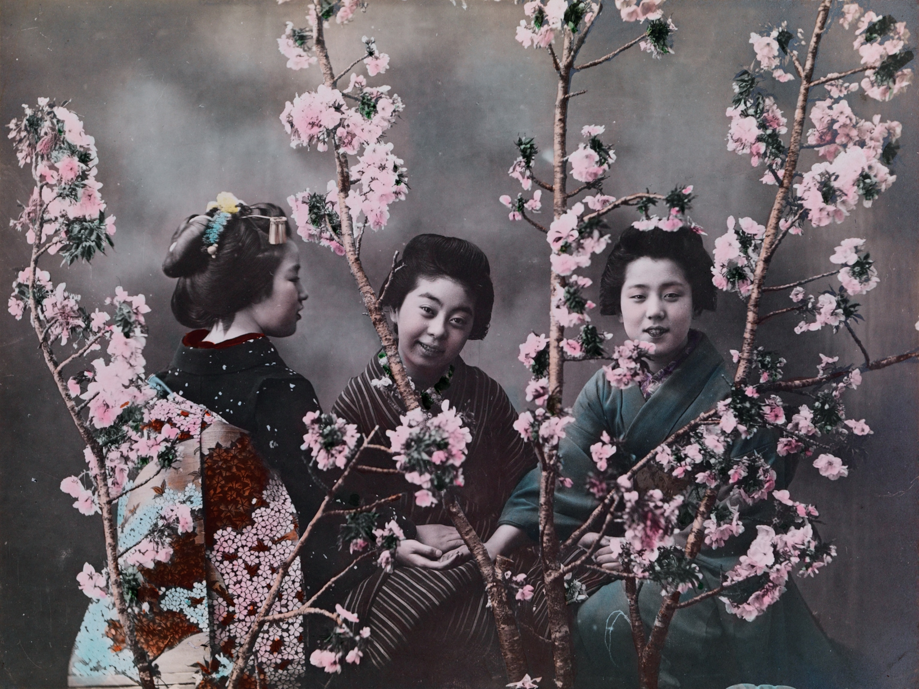 three young gils in traditional Japanese dresses with cherry blossom branches.