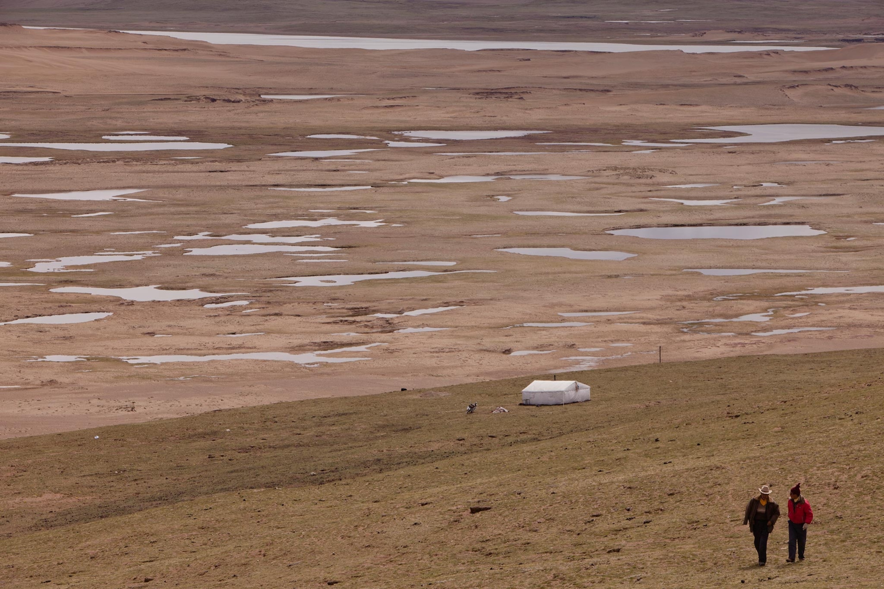 a herding family in a desertified pasture