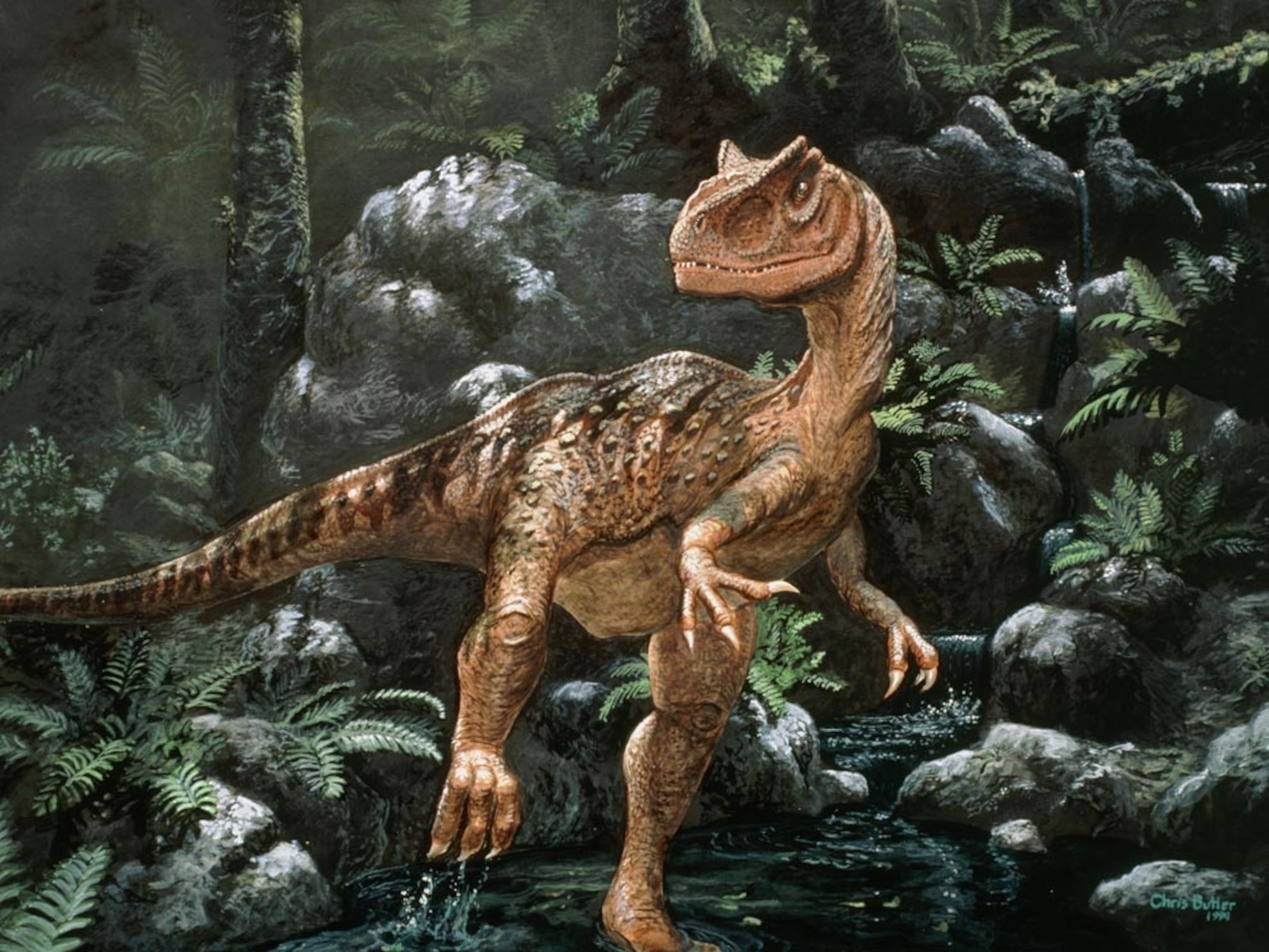 Illustration: Allosaurus in a Jurassic landscape