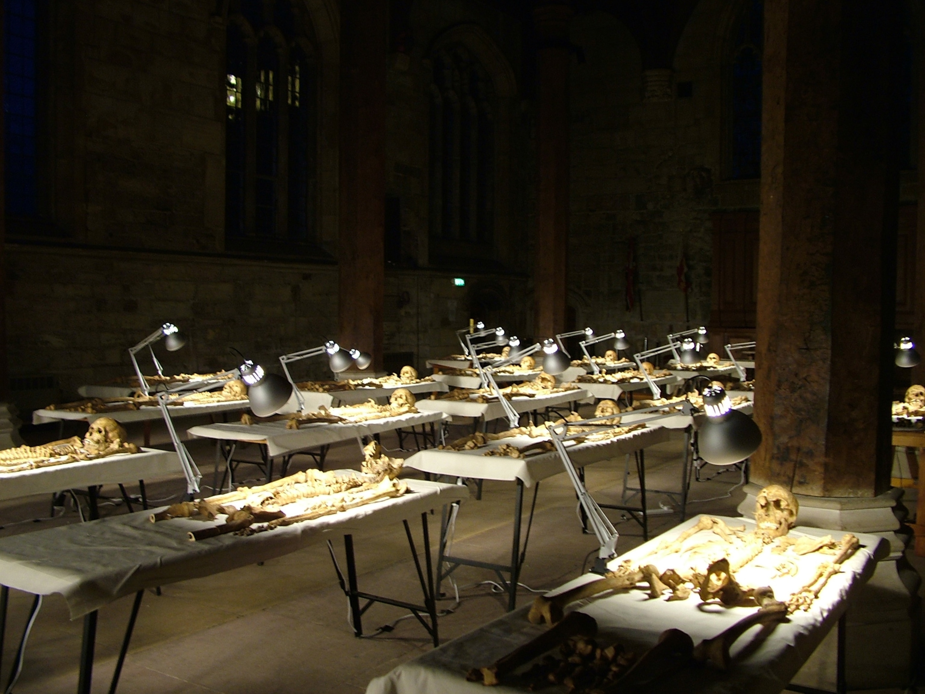Roman-age skeletons laid out in York's Guildhall