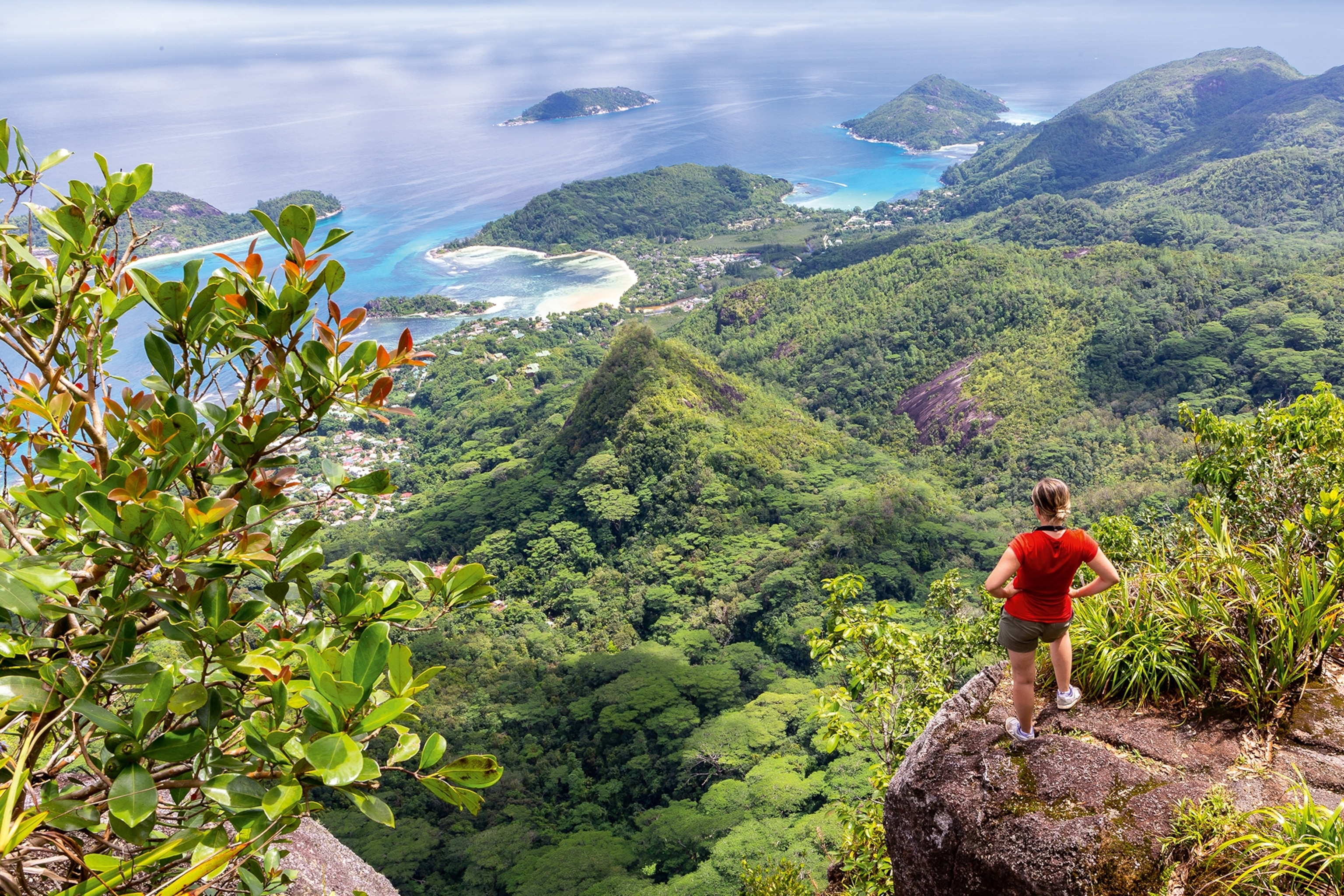 a woman on the edge of a hilltop looking over a green jungle