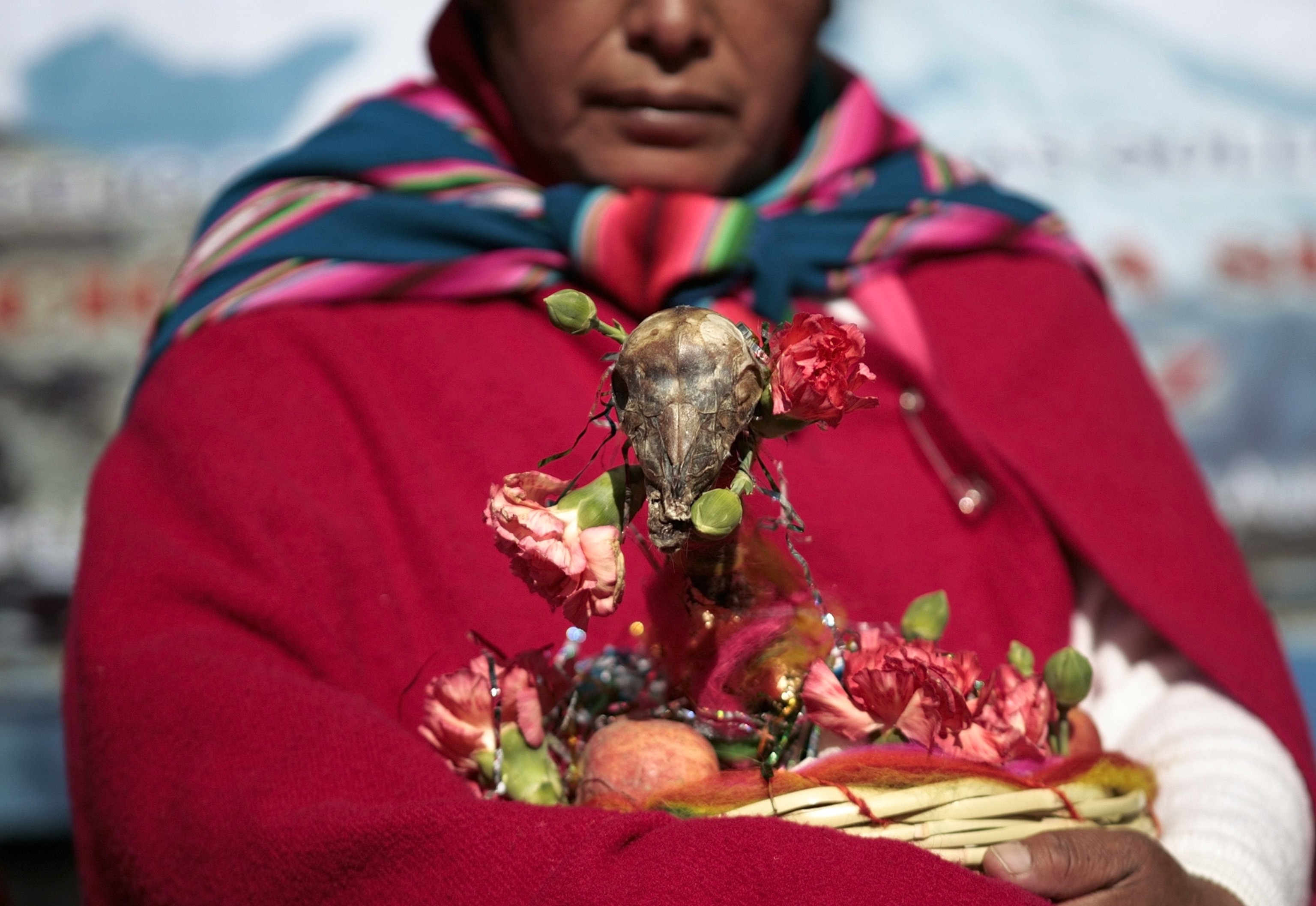 a Bolivian Aymara woman holding an offering of llama fetus during winter solstice celebrations