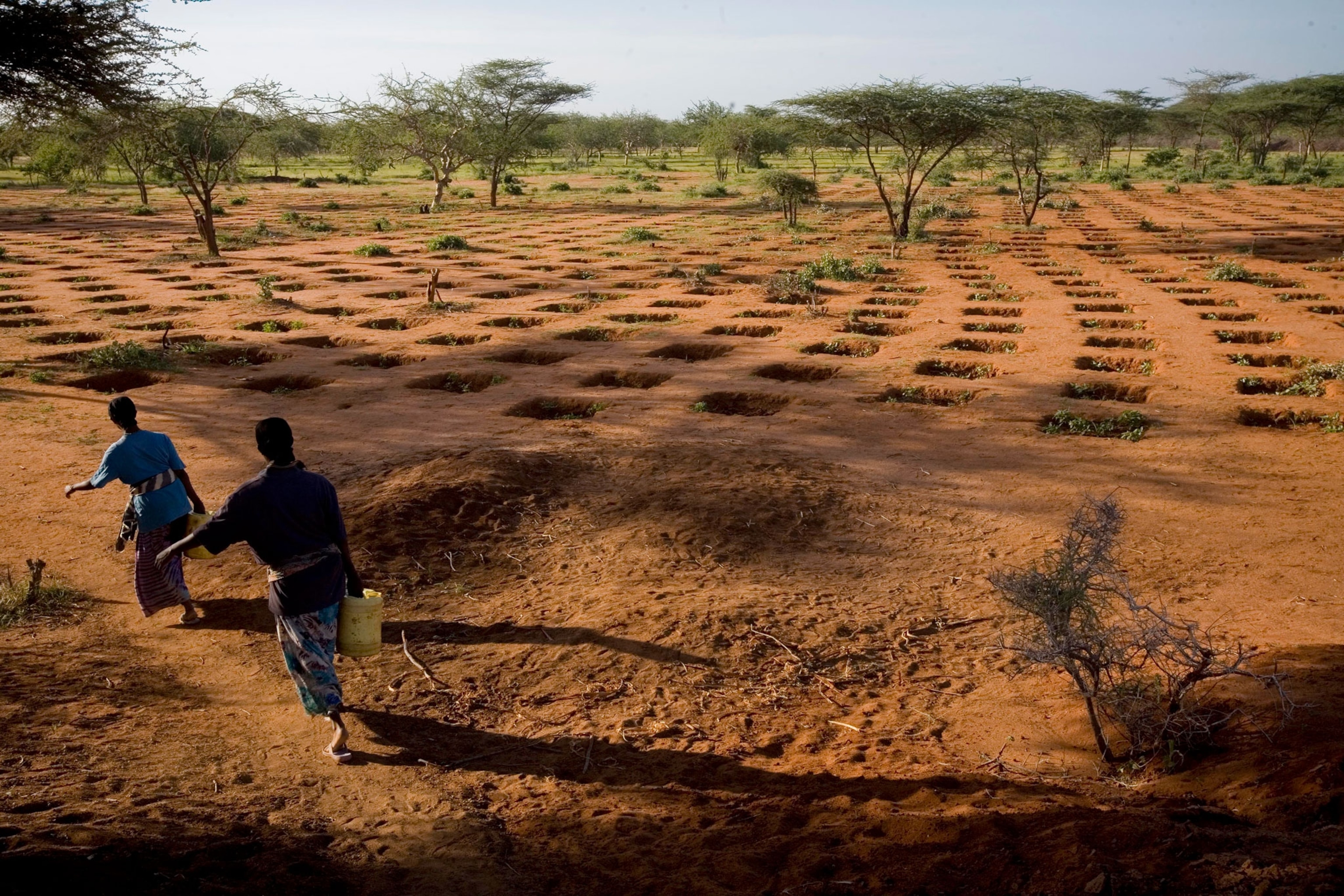 people working on a farm in Kenya