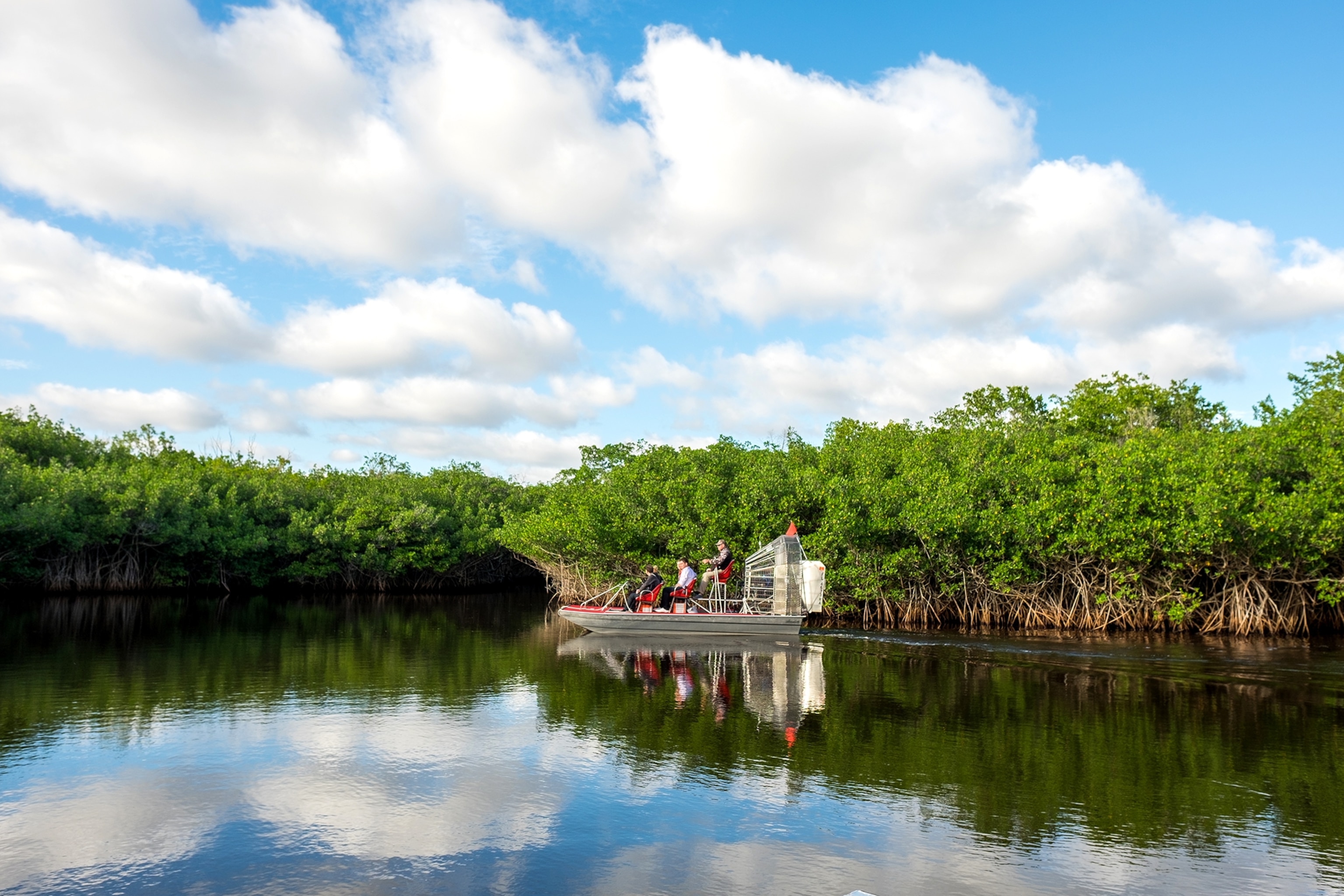 an airboat in the Everglades National Park in Florida