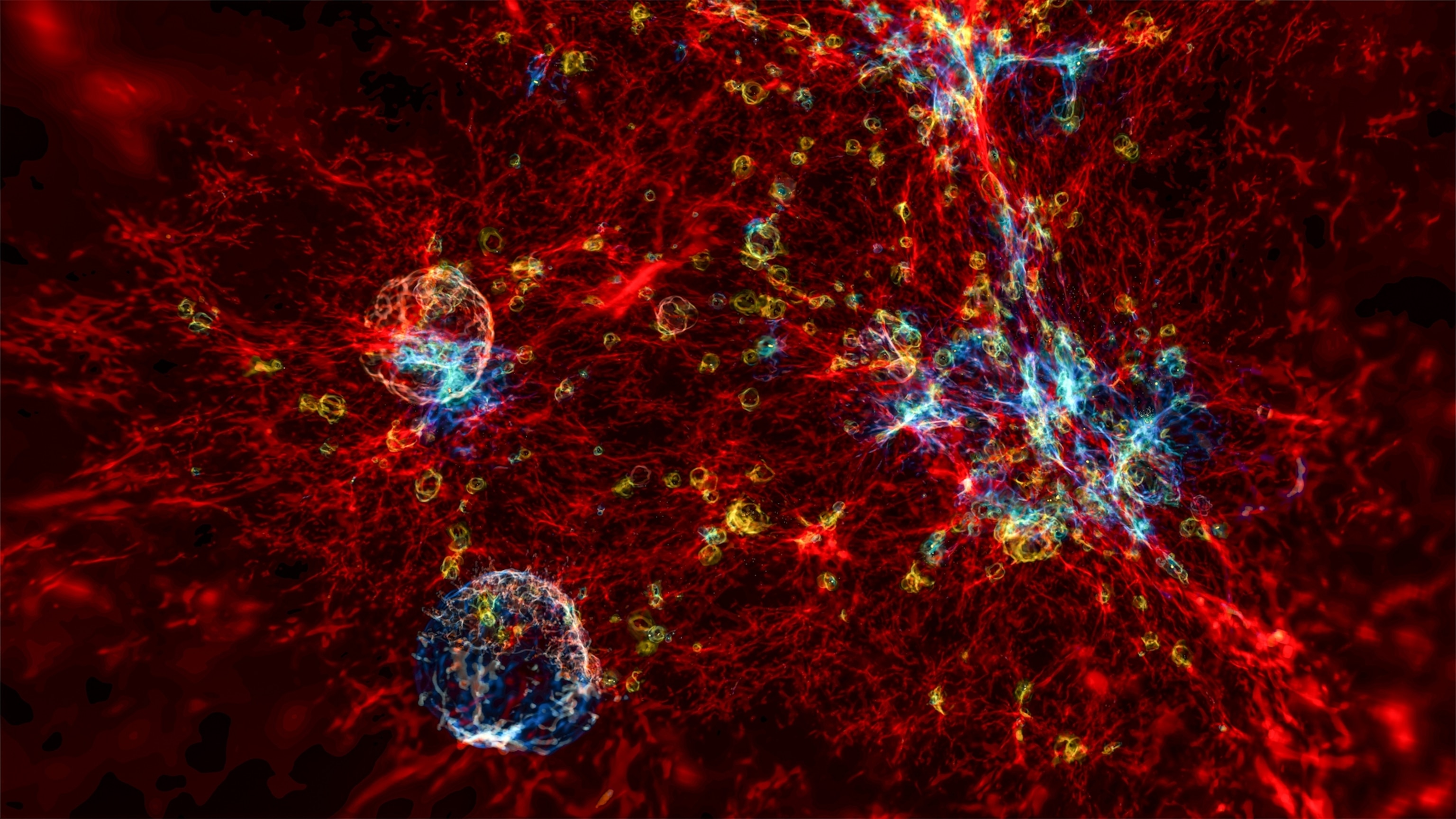 Objects looking like bubbles in red substance.