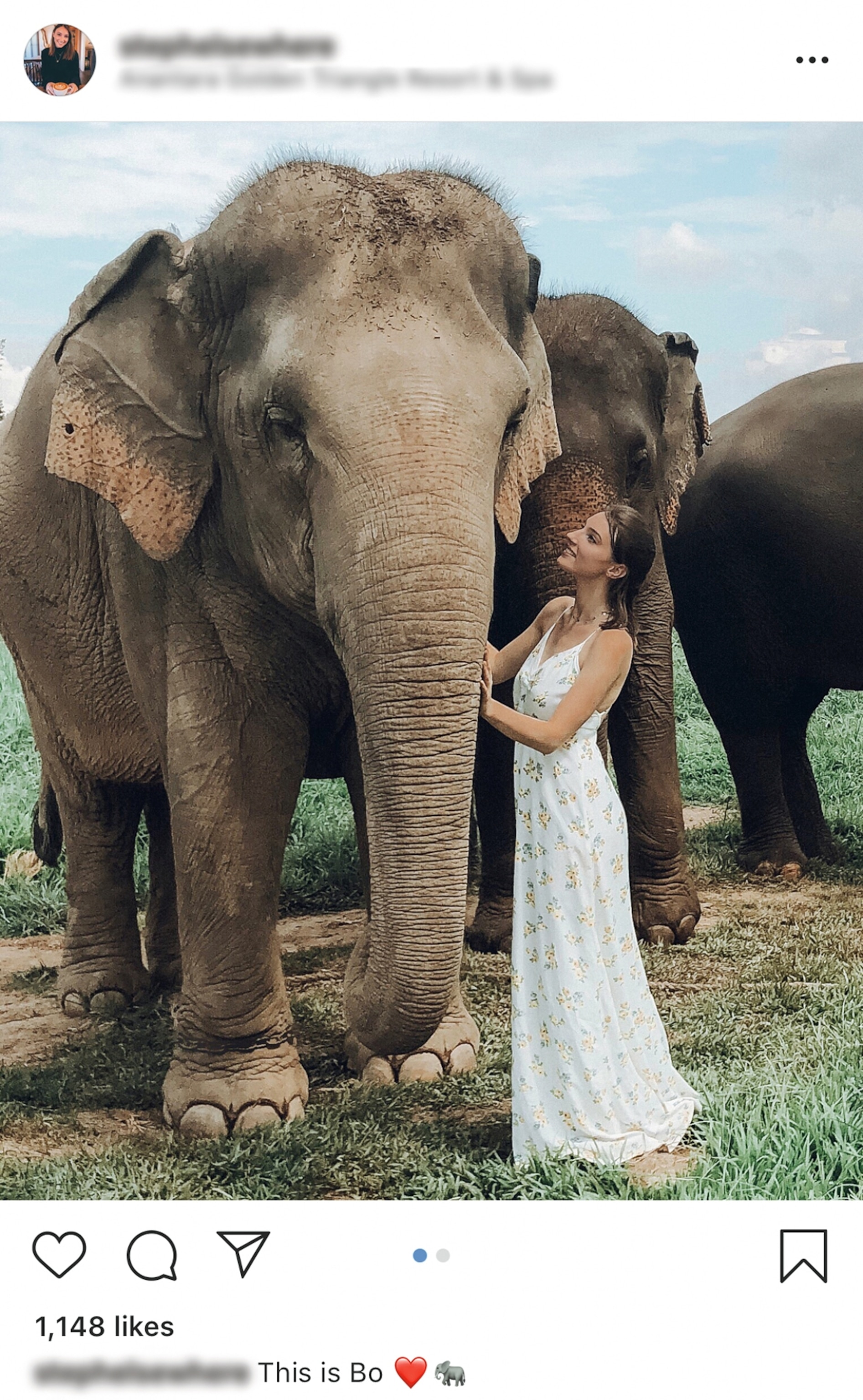 a girl engaging with an elephant for a photo