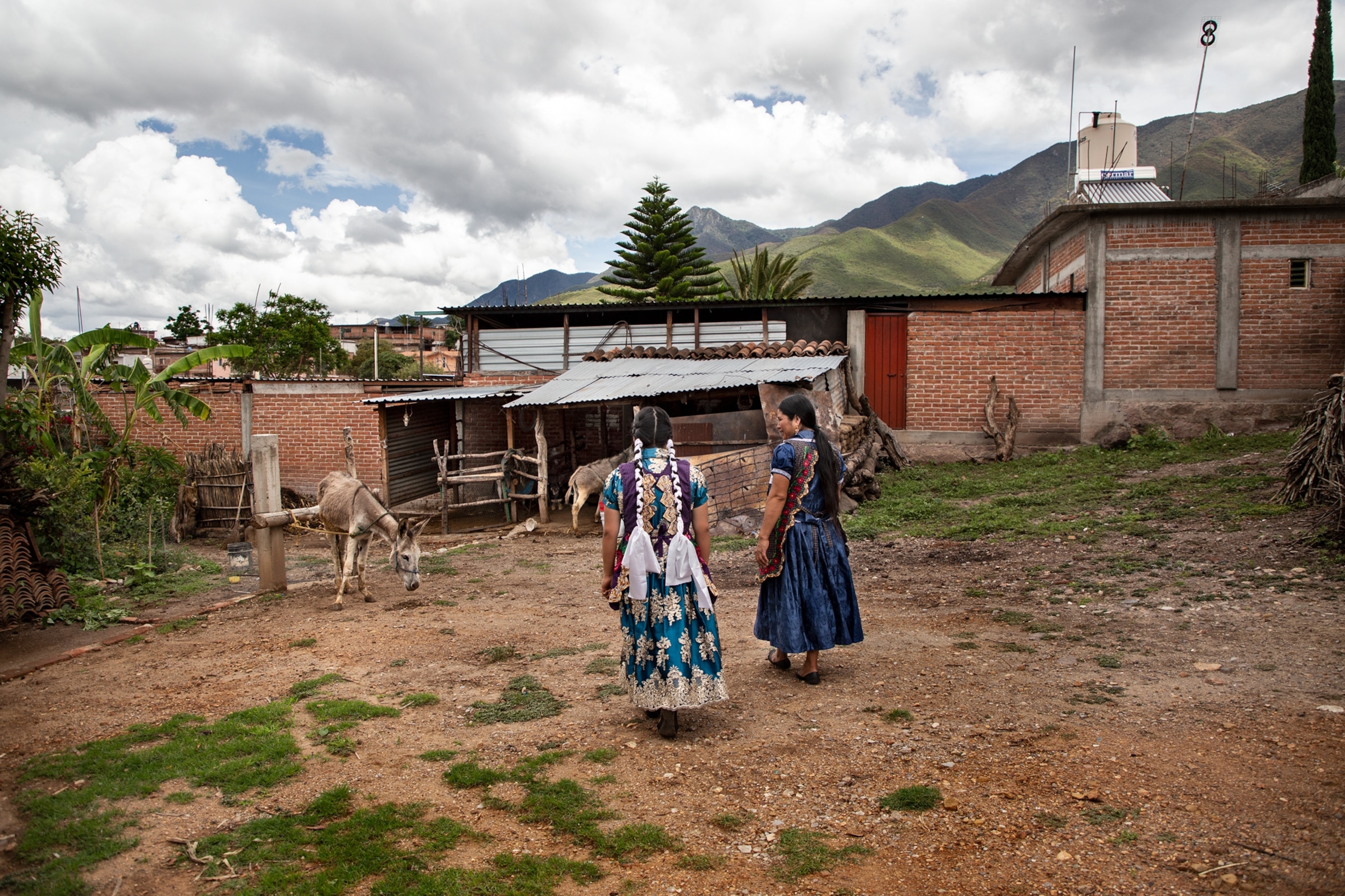 Two women walk through the garden of their house