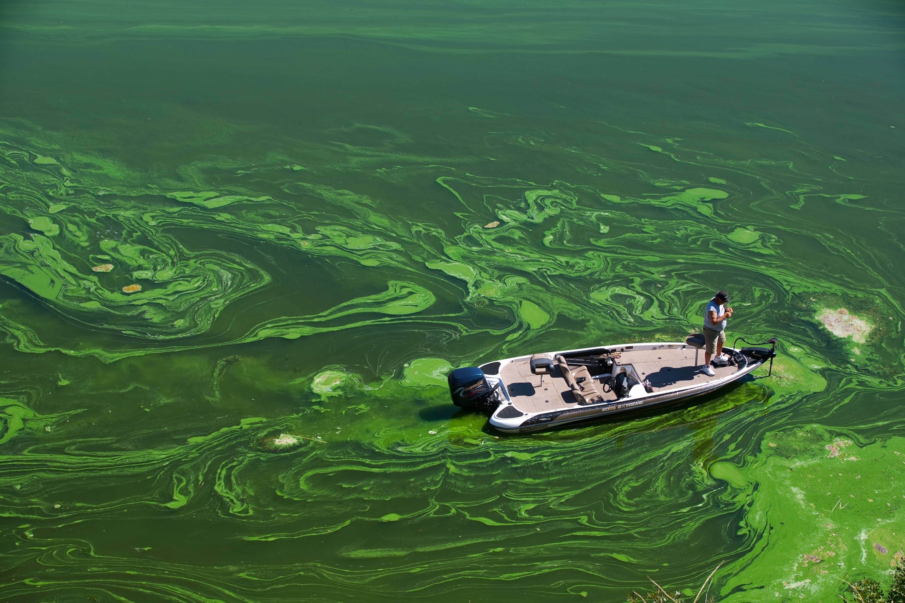 an angler fishing for bass on California's Klamath river during an algae bloom