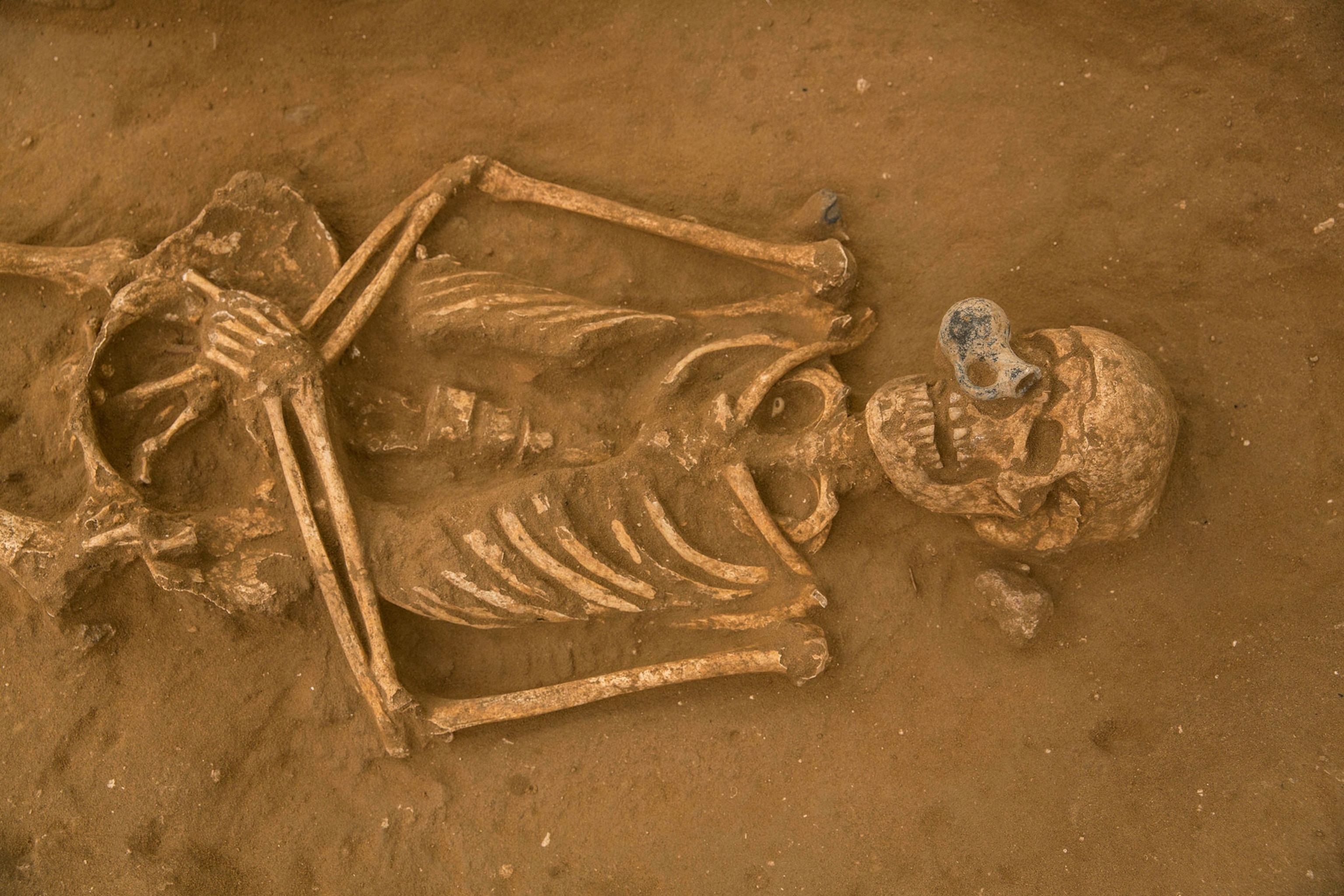 skeleton