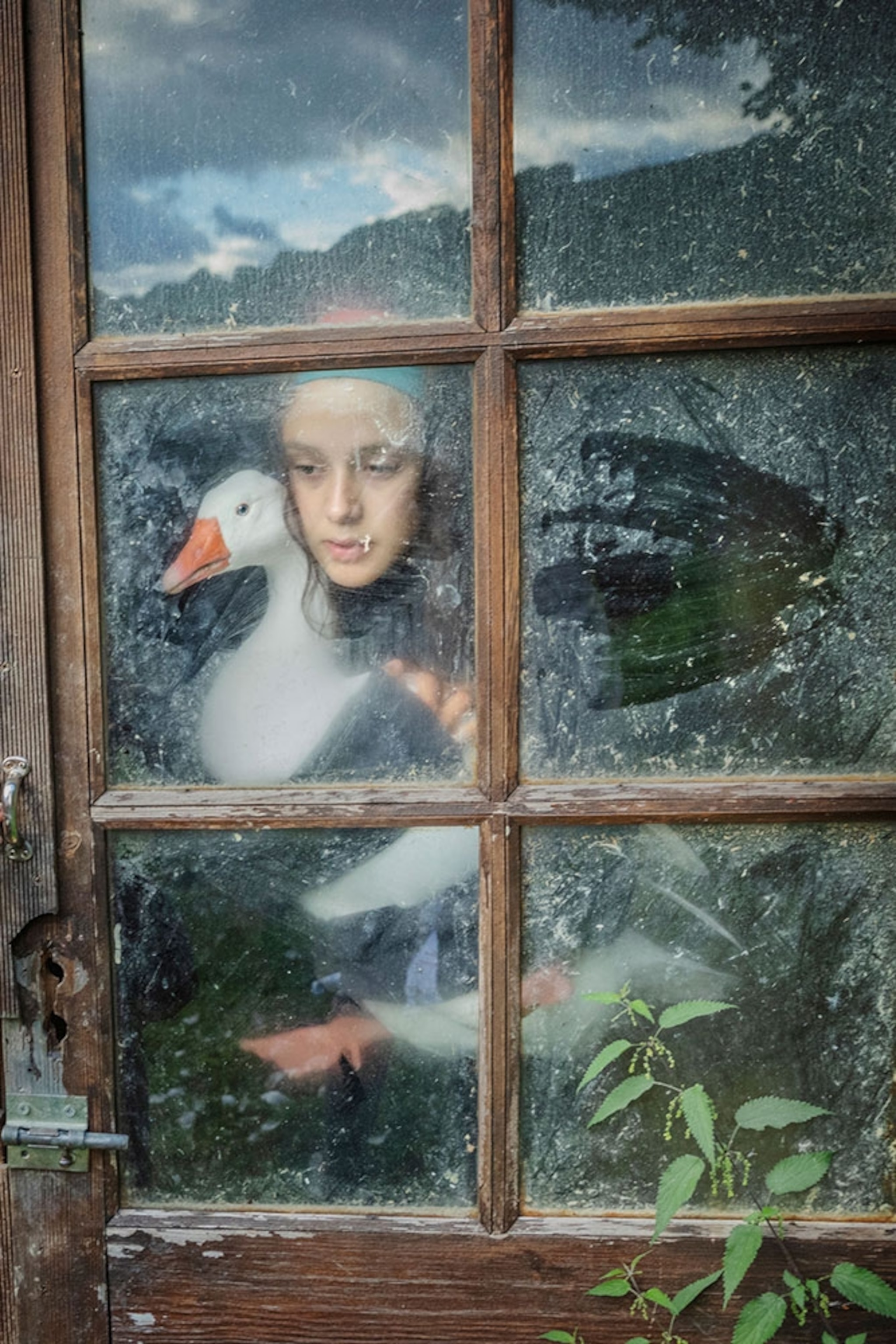 Picture of Carla Heras gently cradling a duck, seen through the dirty glass window panes in a wooden door.