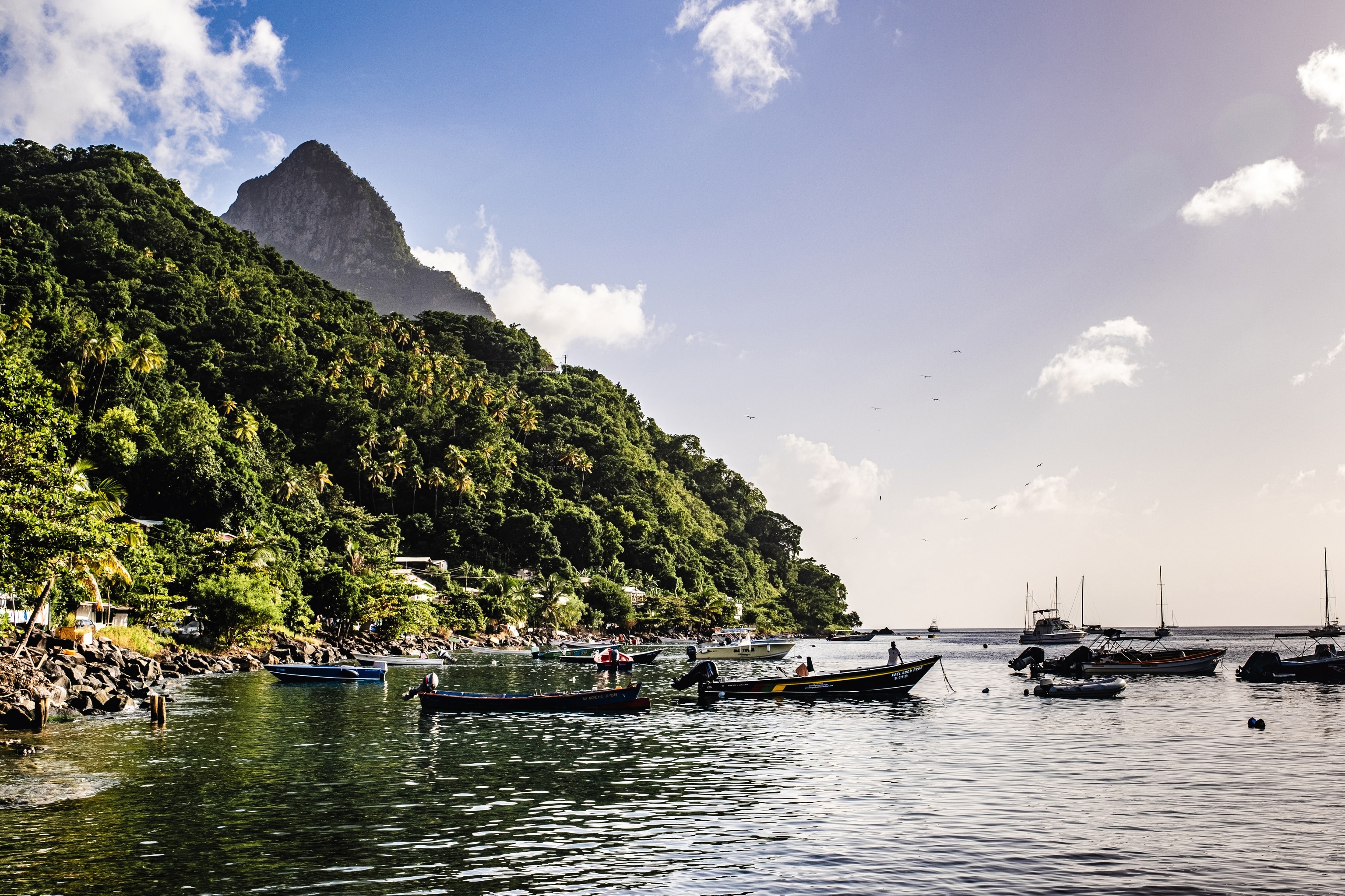 Harbour
