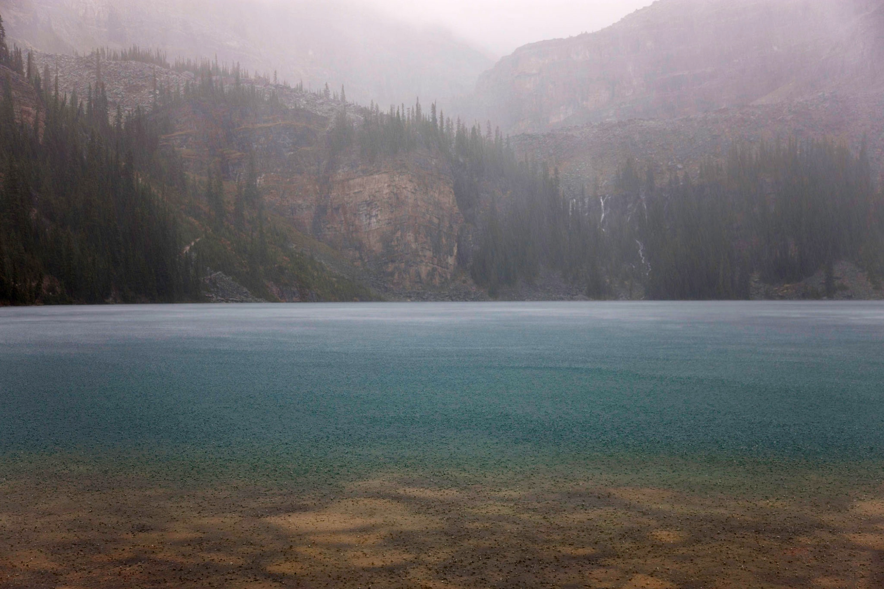 a rainy and misty Lake O'Hara in Yoho National Park, with water drops hitting the surface of the aqua-colored lake