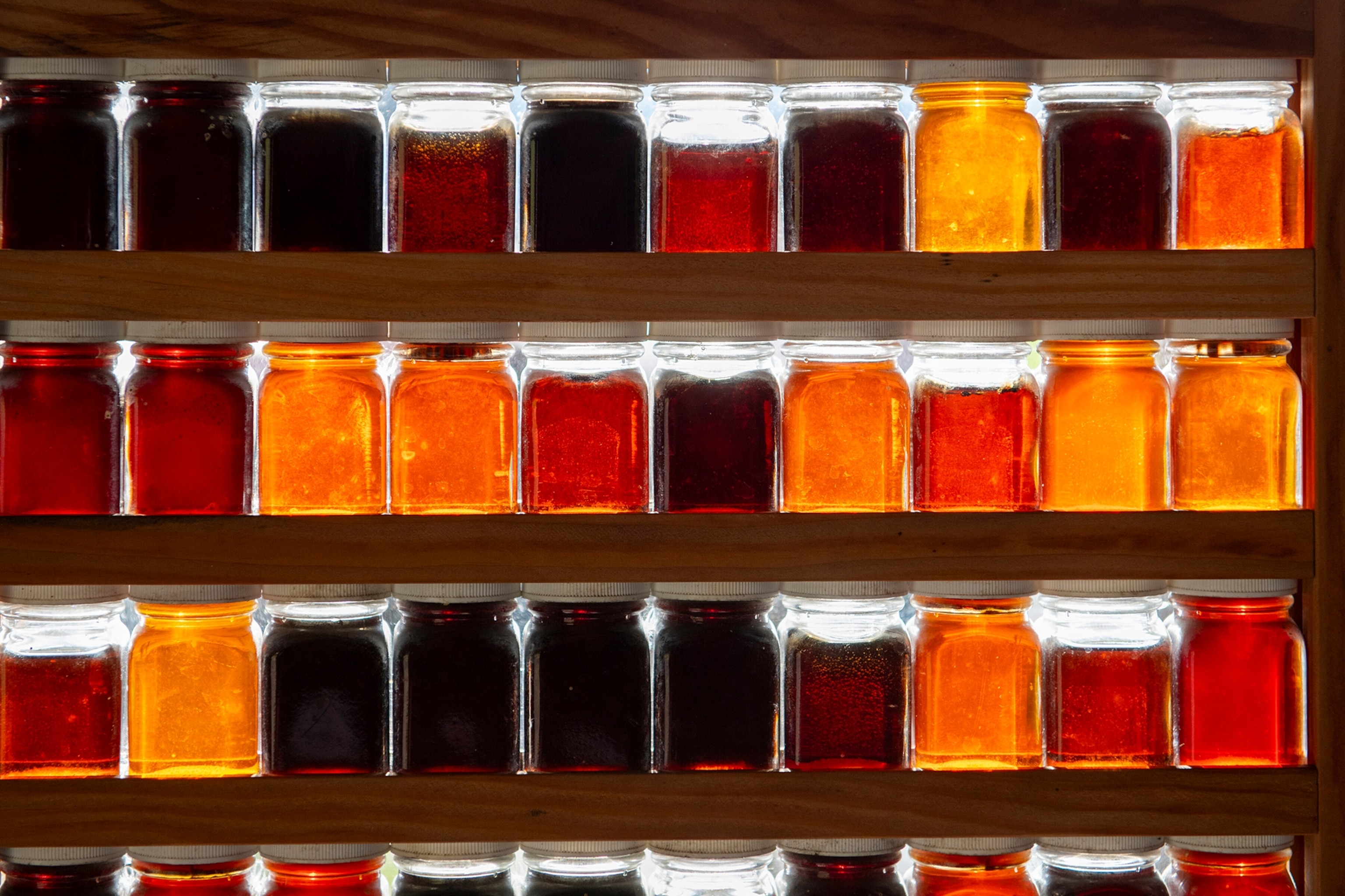 An array of maple syrups at Morse Farm Maple Sugarworks, which wasn't damaged by the flooding, in Montpelier, Vt., in October 2023.